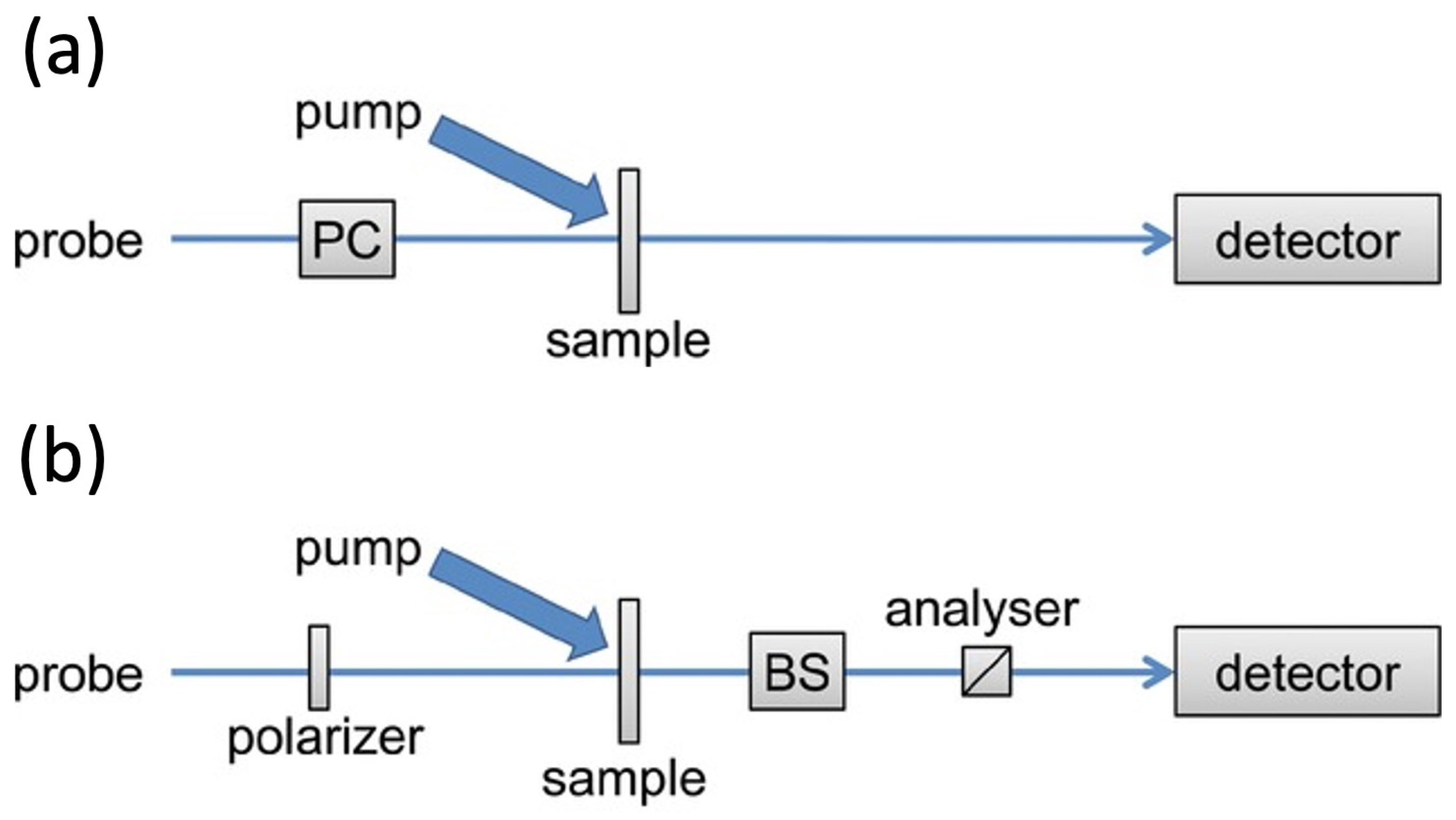 Molecules 29 04049 g003