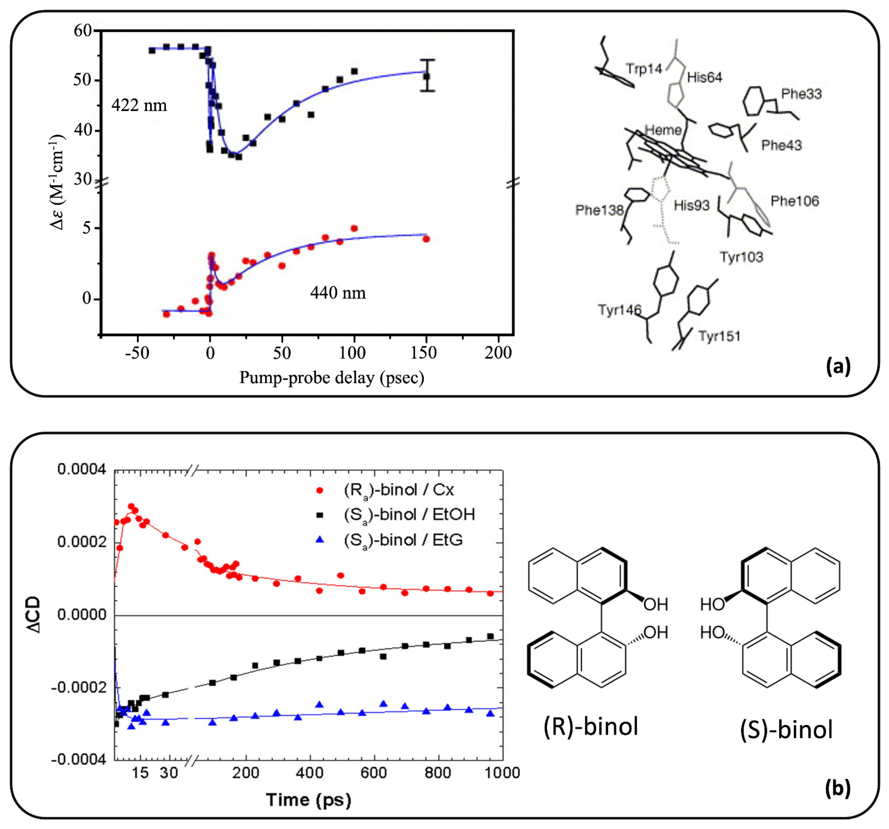 Molecules 29 04049 g004