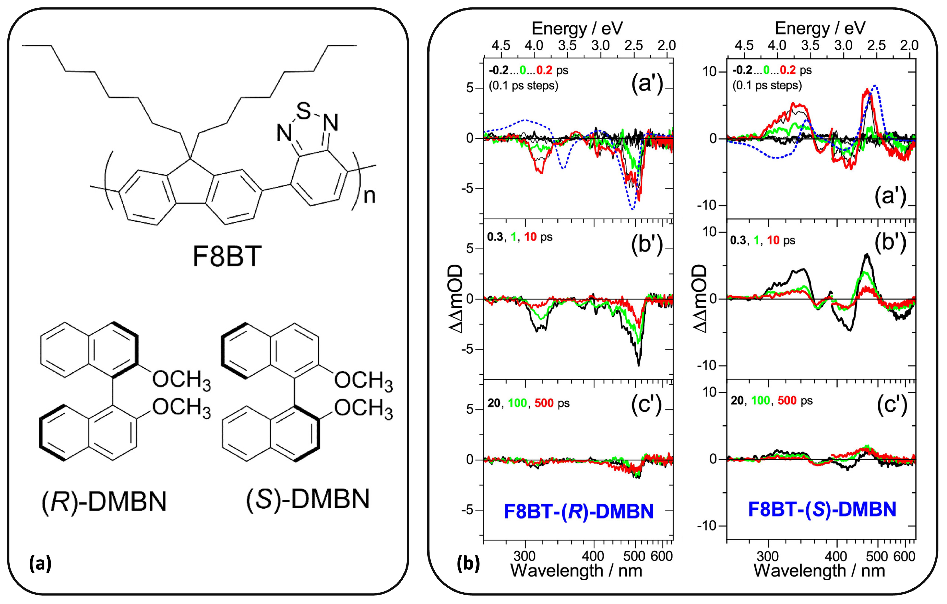 Molecules 29 04049 g005
