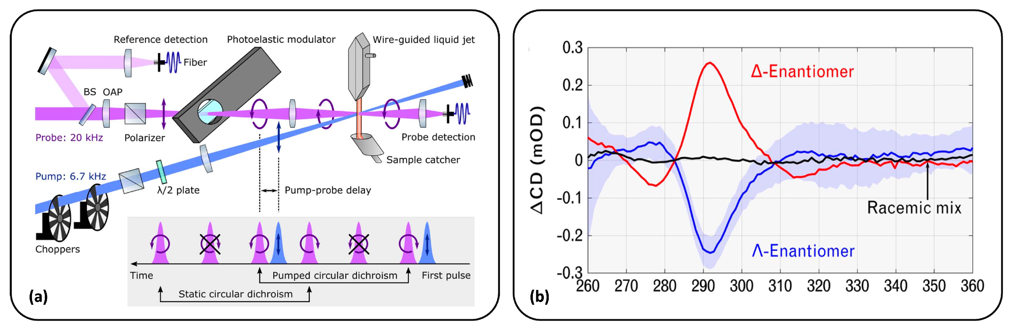 Molecules 29 04049 g006
