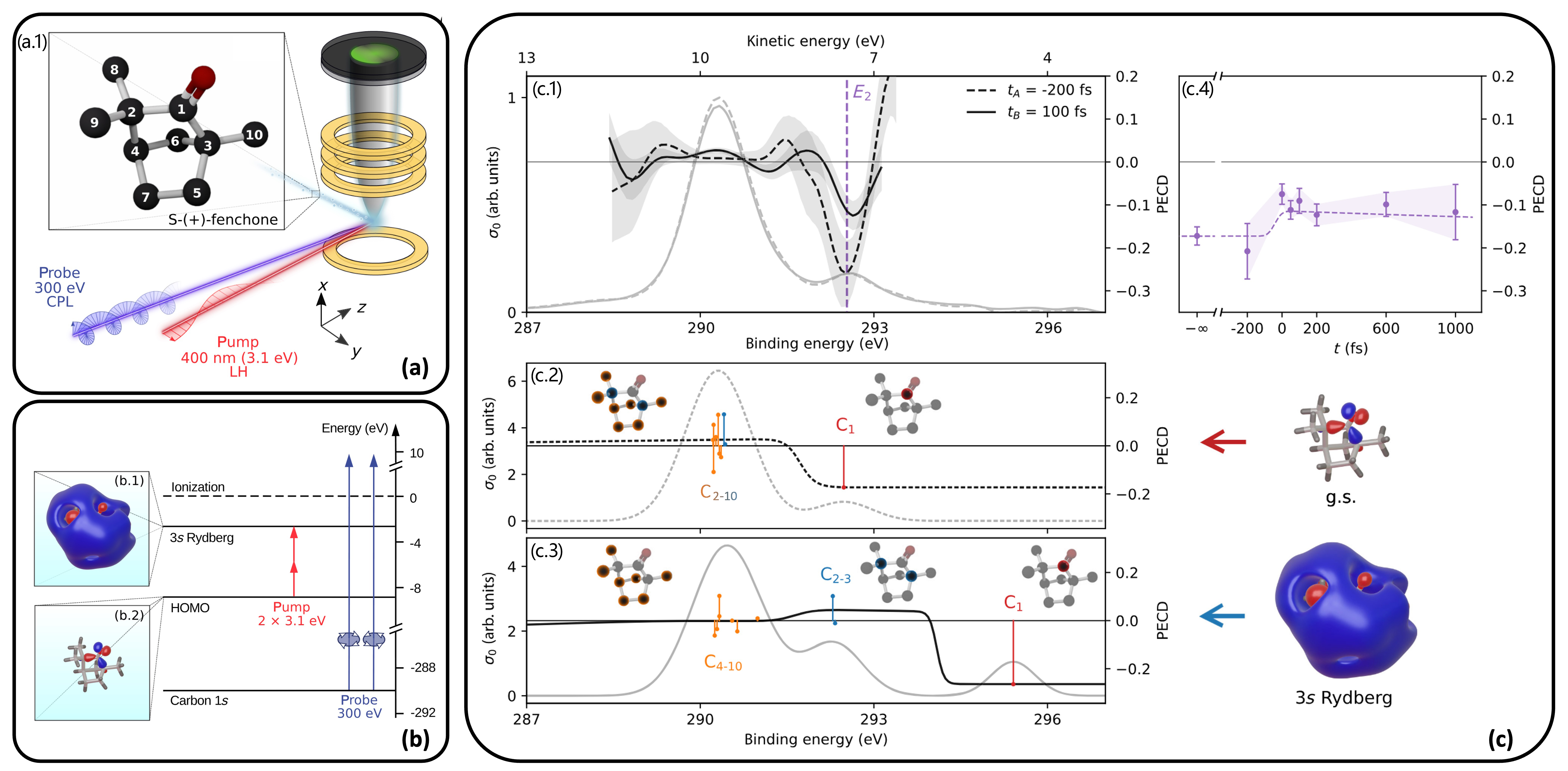 Molecules 29 04049 g008