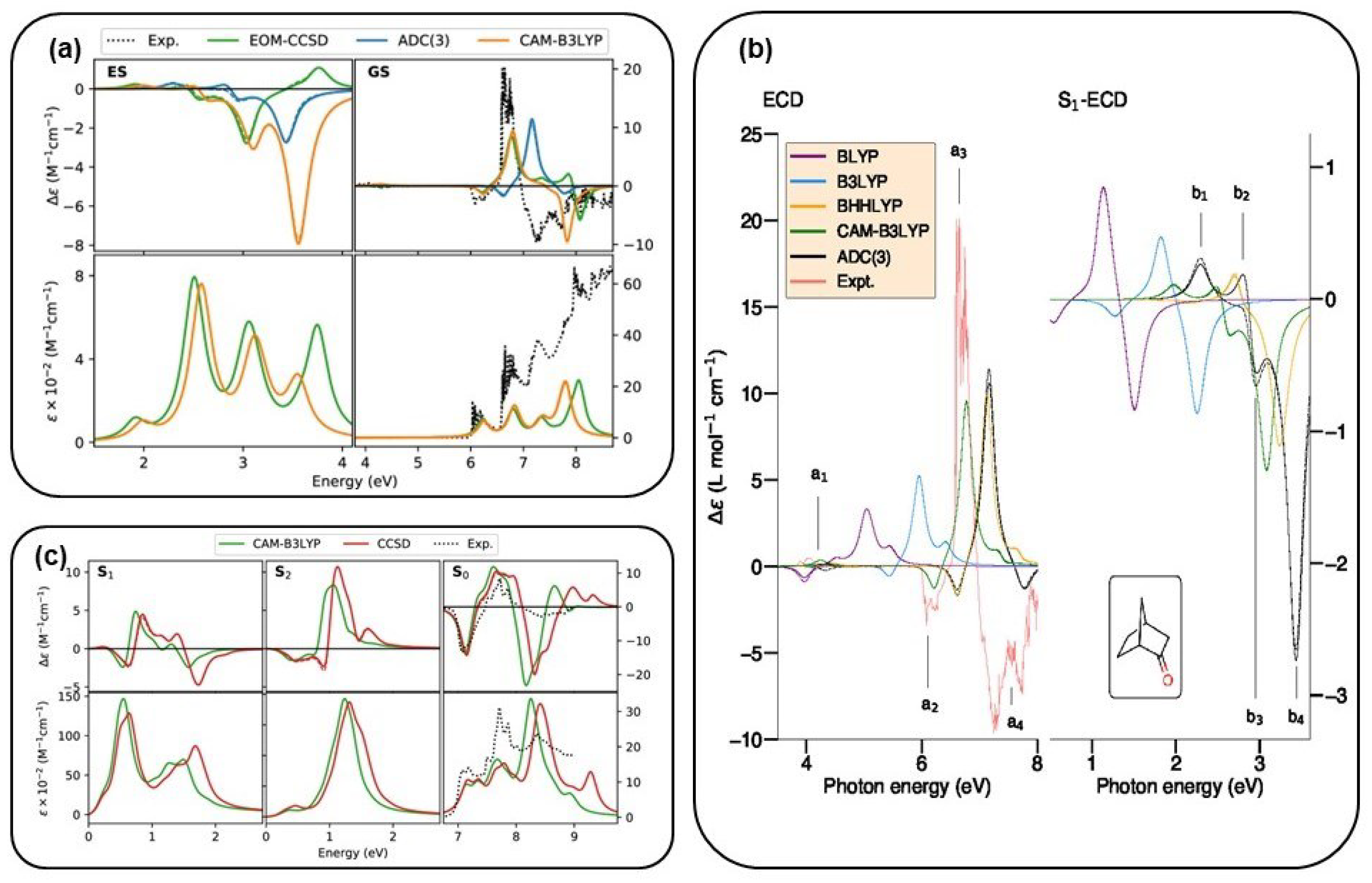 Molecules 29 04049 g010