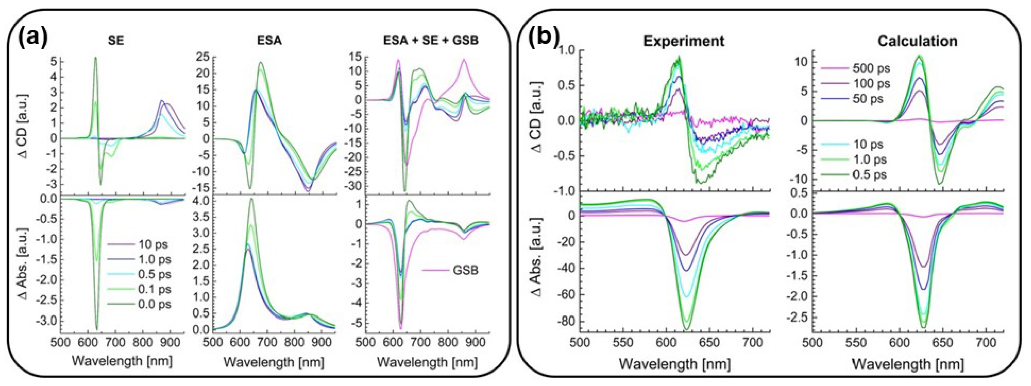 Molecules 29 04049 g011