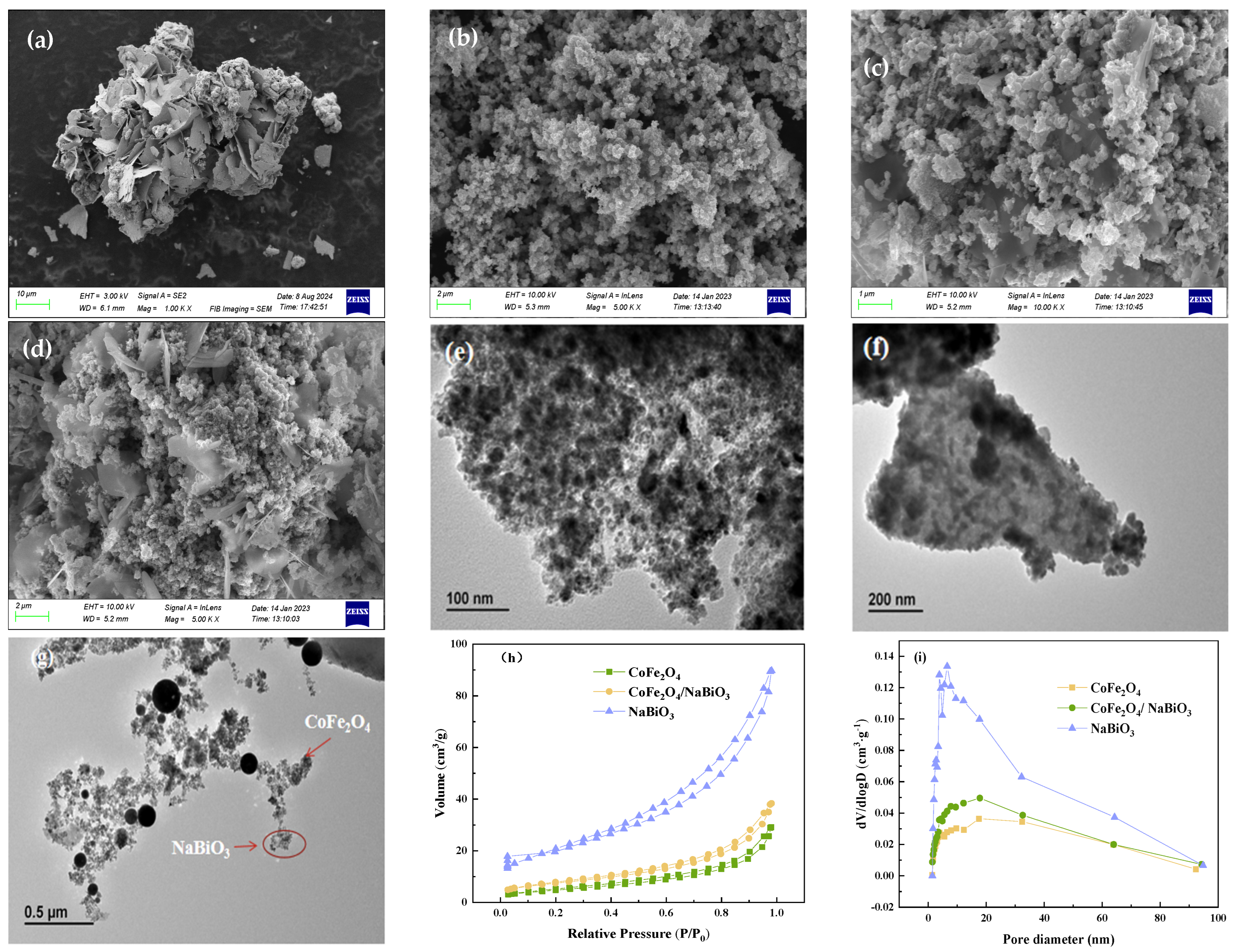 Molecules 29 04055 g001