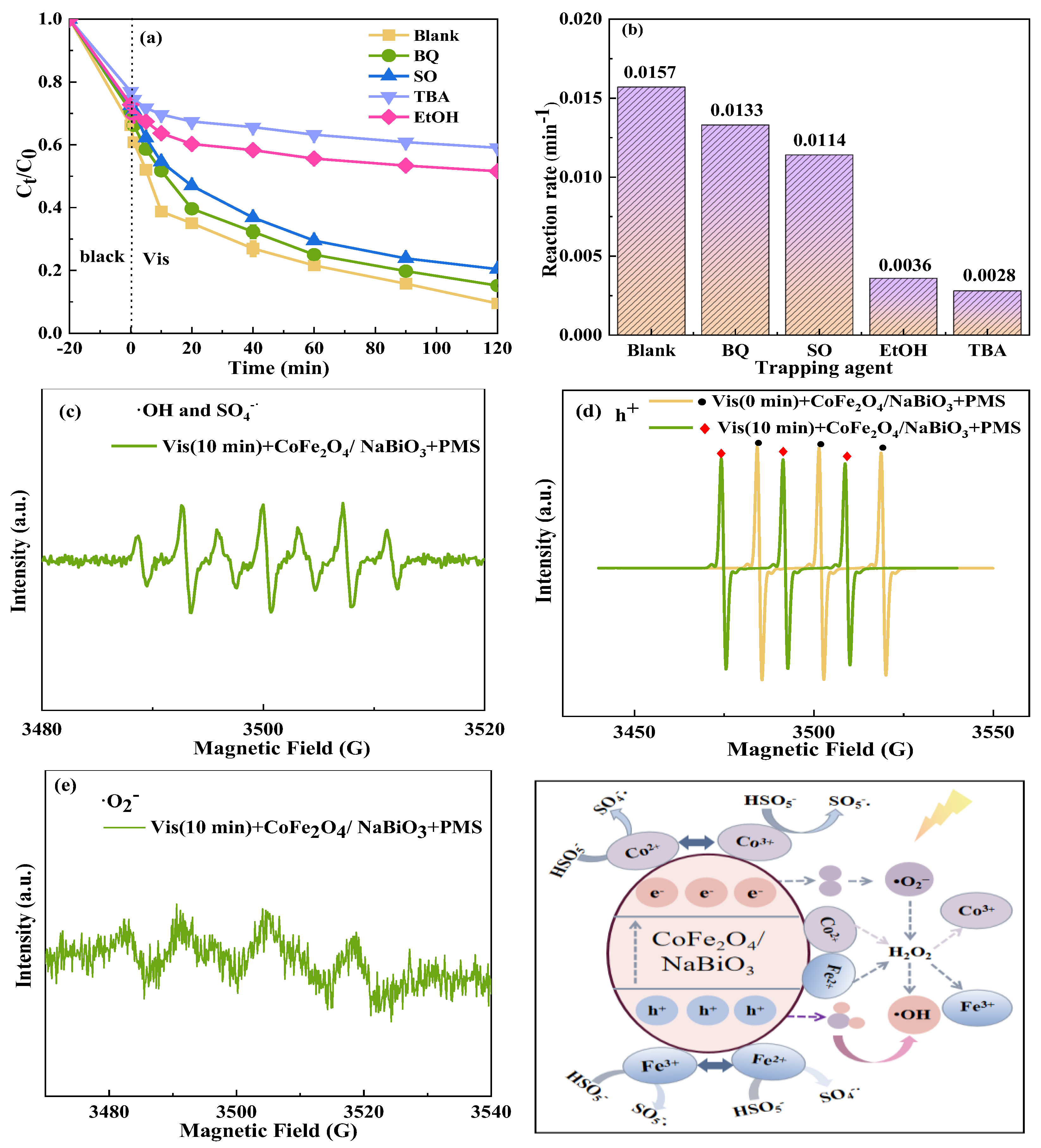 Molecules 29 04055 g011