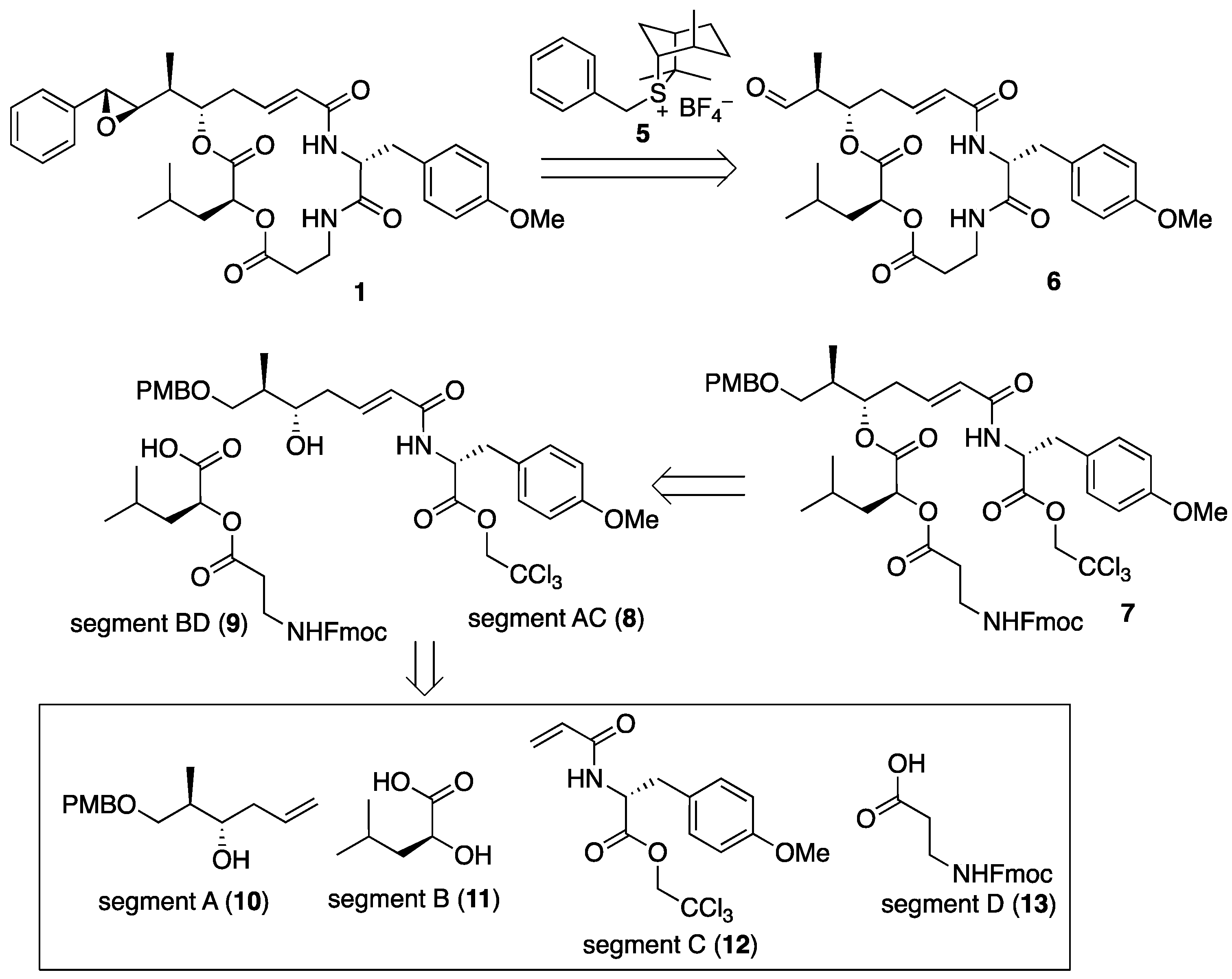 Molecules 29 04058 g003