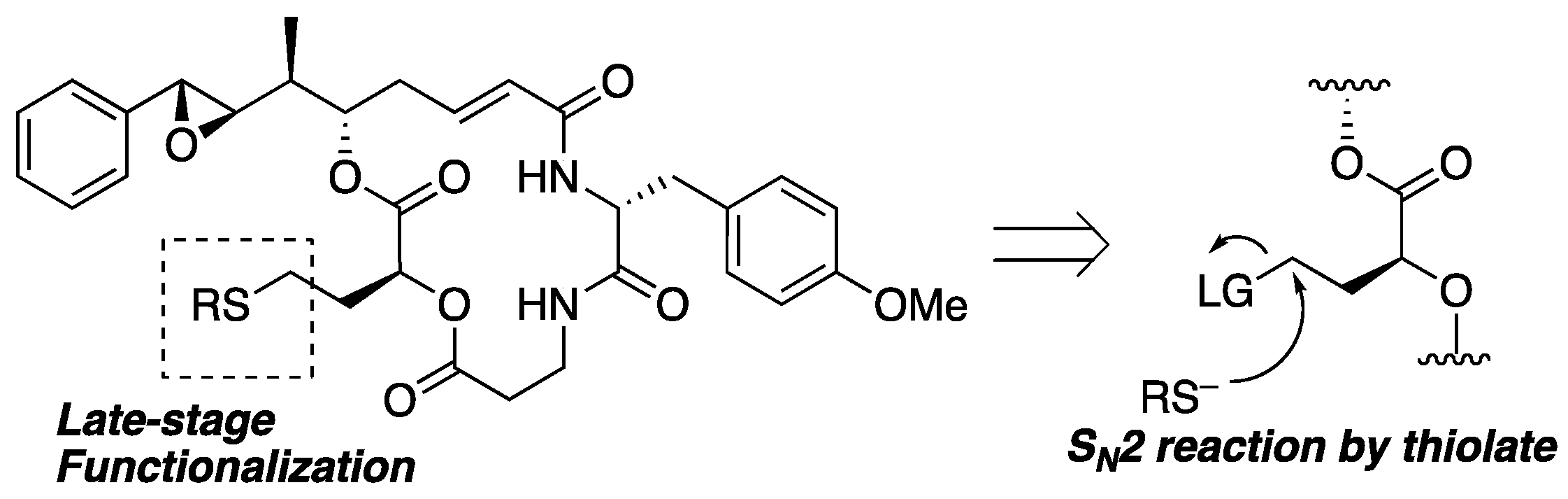 Molecules 29 04058 g004