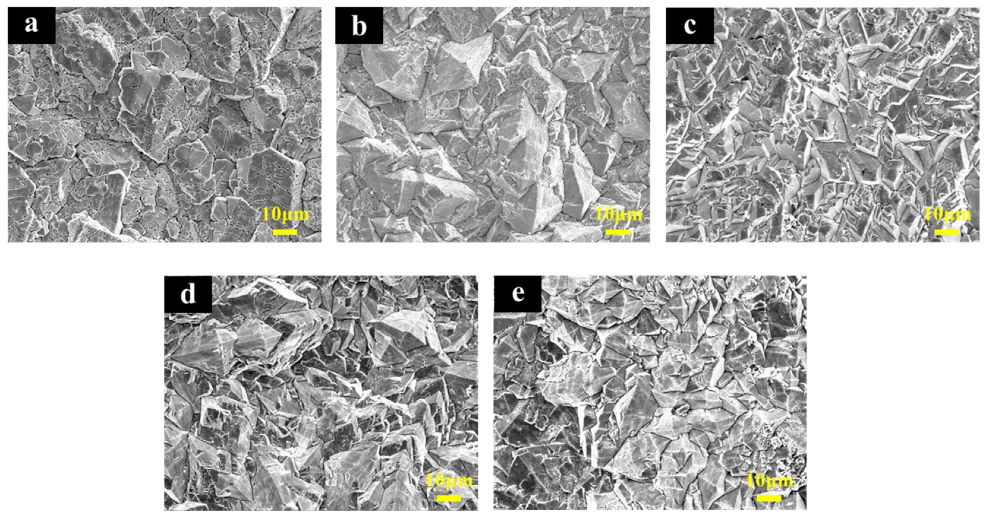 Molecules 29 04062 g002