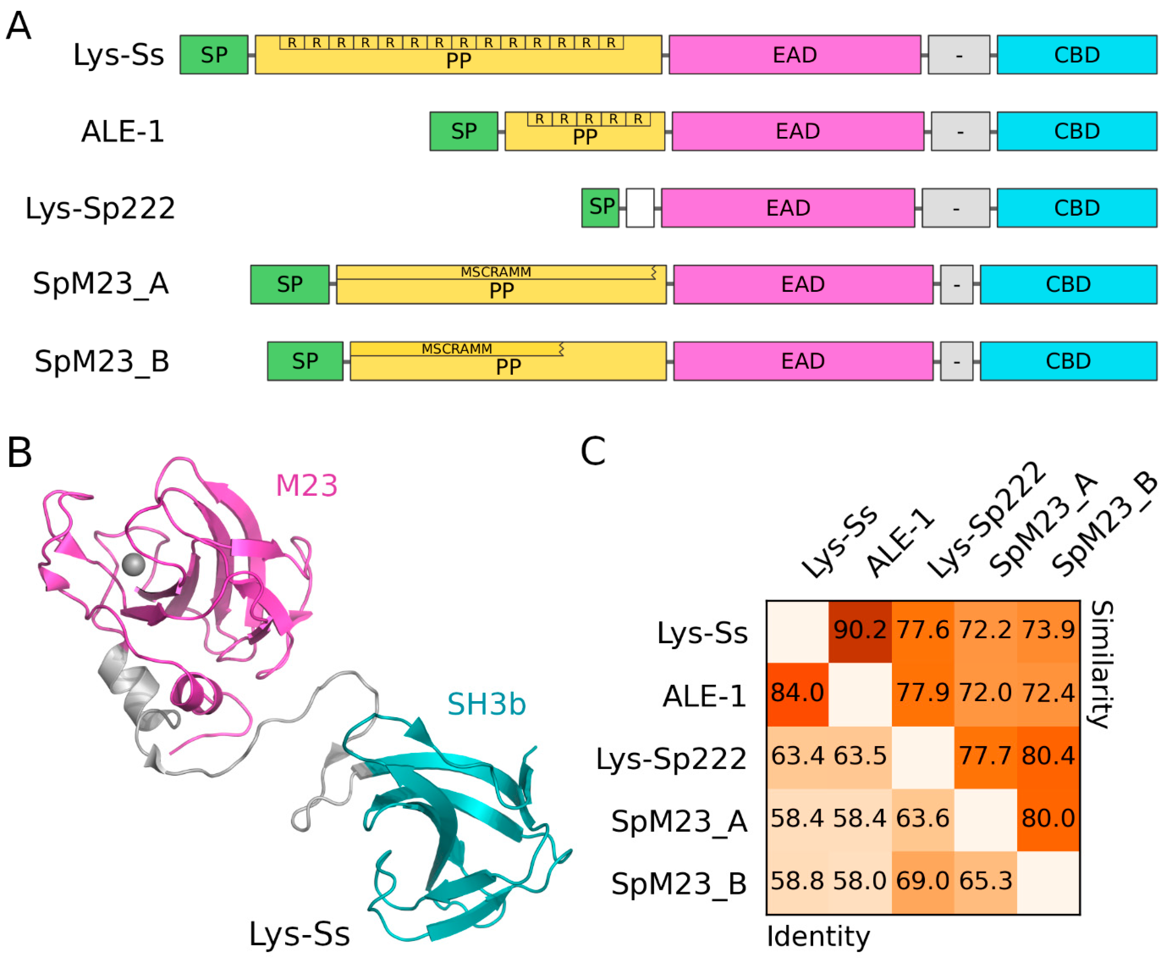 Molecules 29 04065 g006 Molecules 29 04065 g006