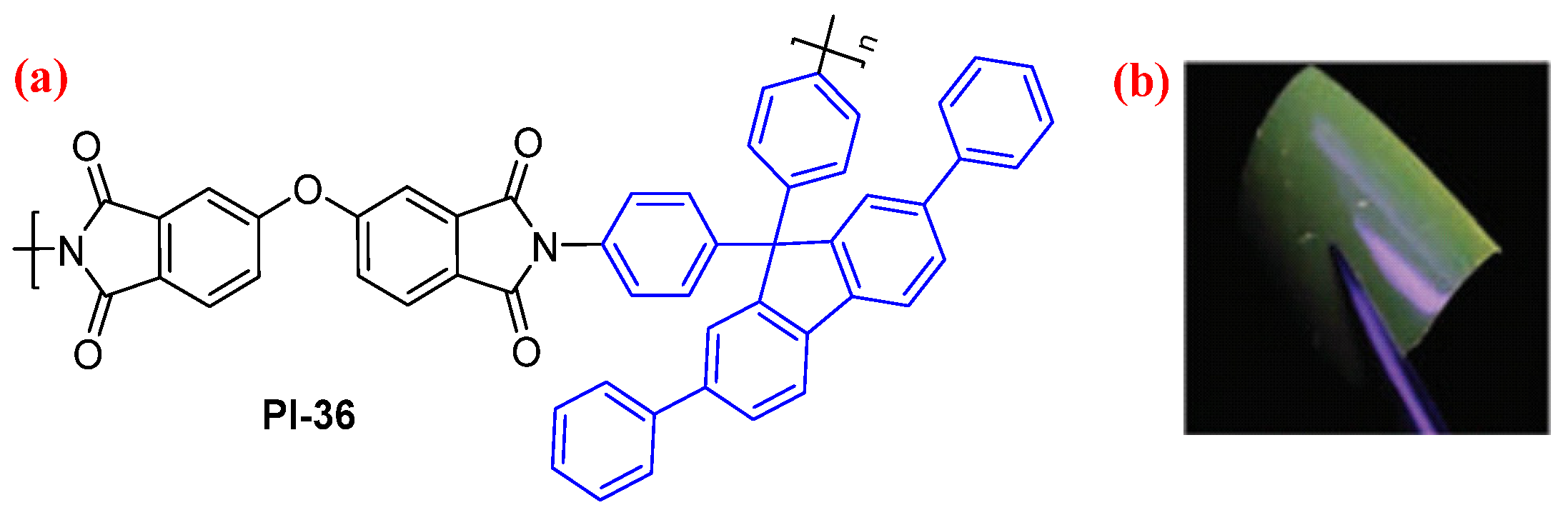 Molecules 29 04072 g022