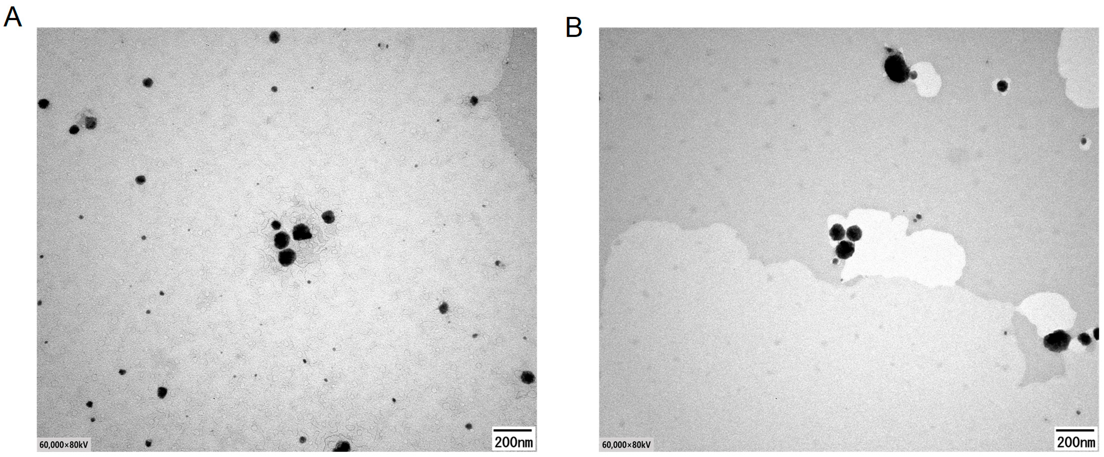 Molecules 29 04073 g005 Molecules 29 04073 g005
