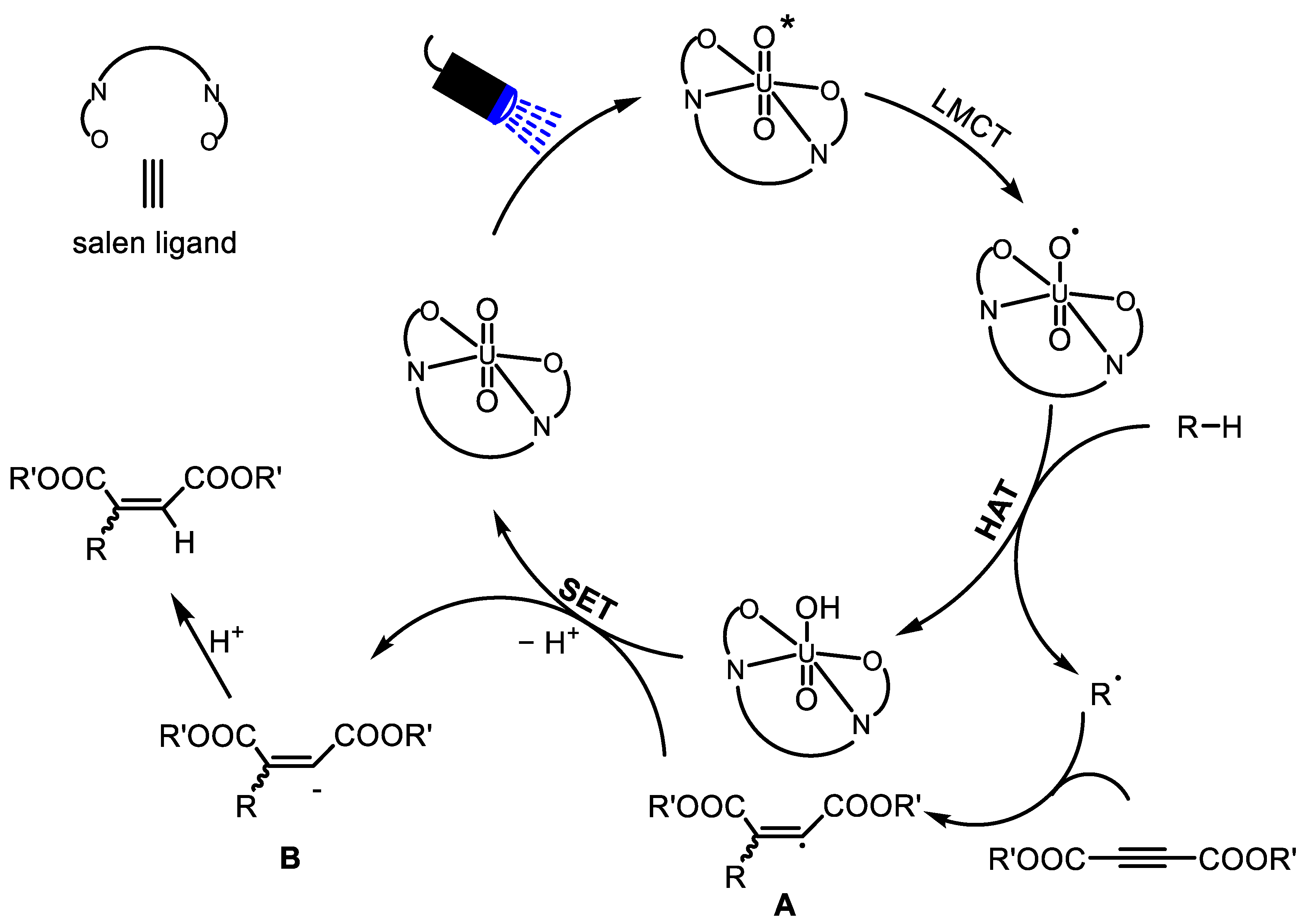 Molecules 29 04077 g003