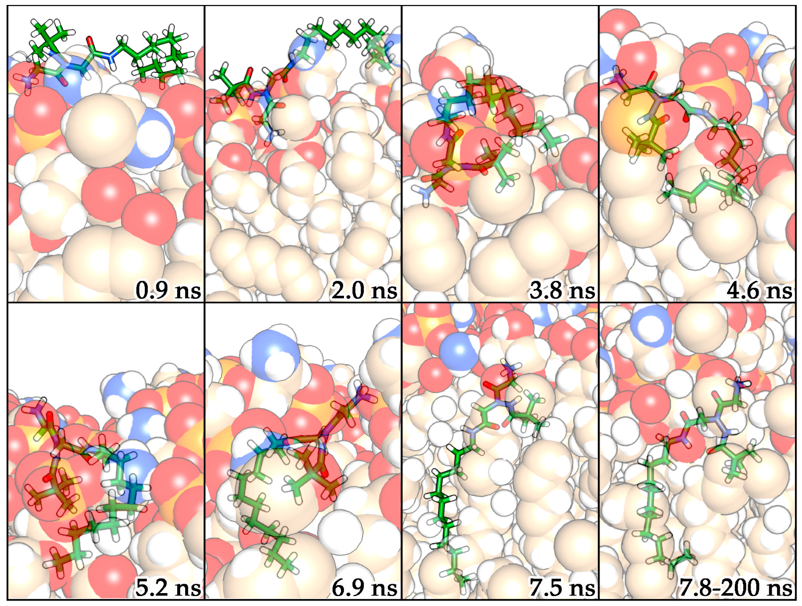 Molecules 29 04078 g005
