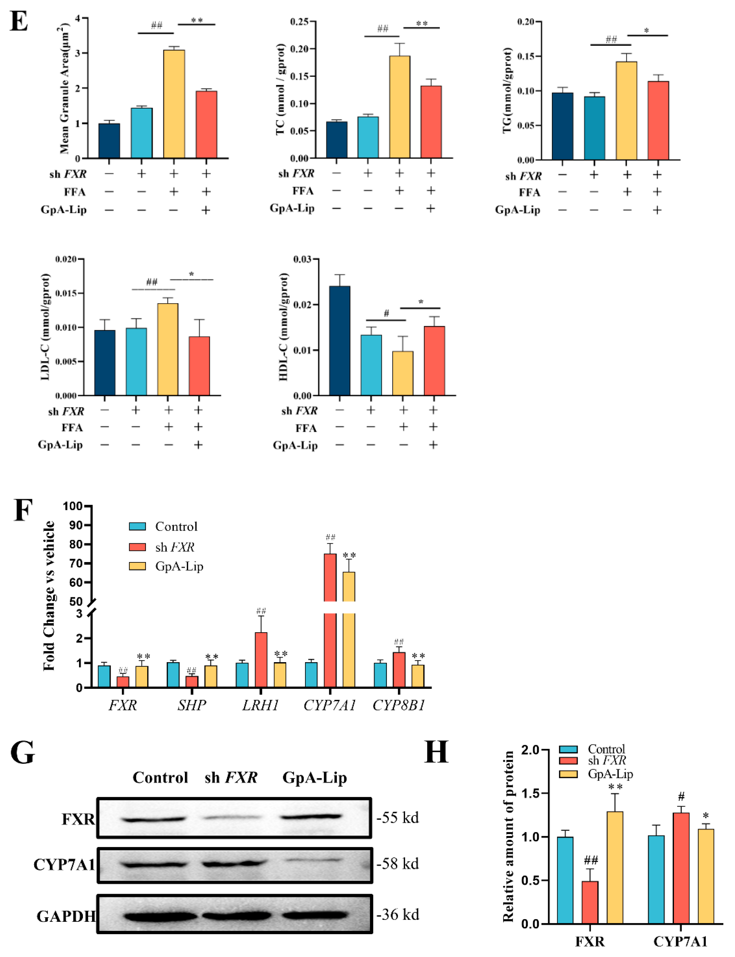 Molecules 29 04080 g006b
