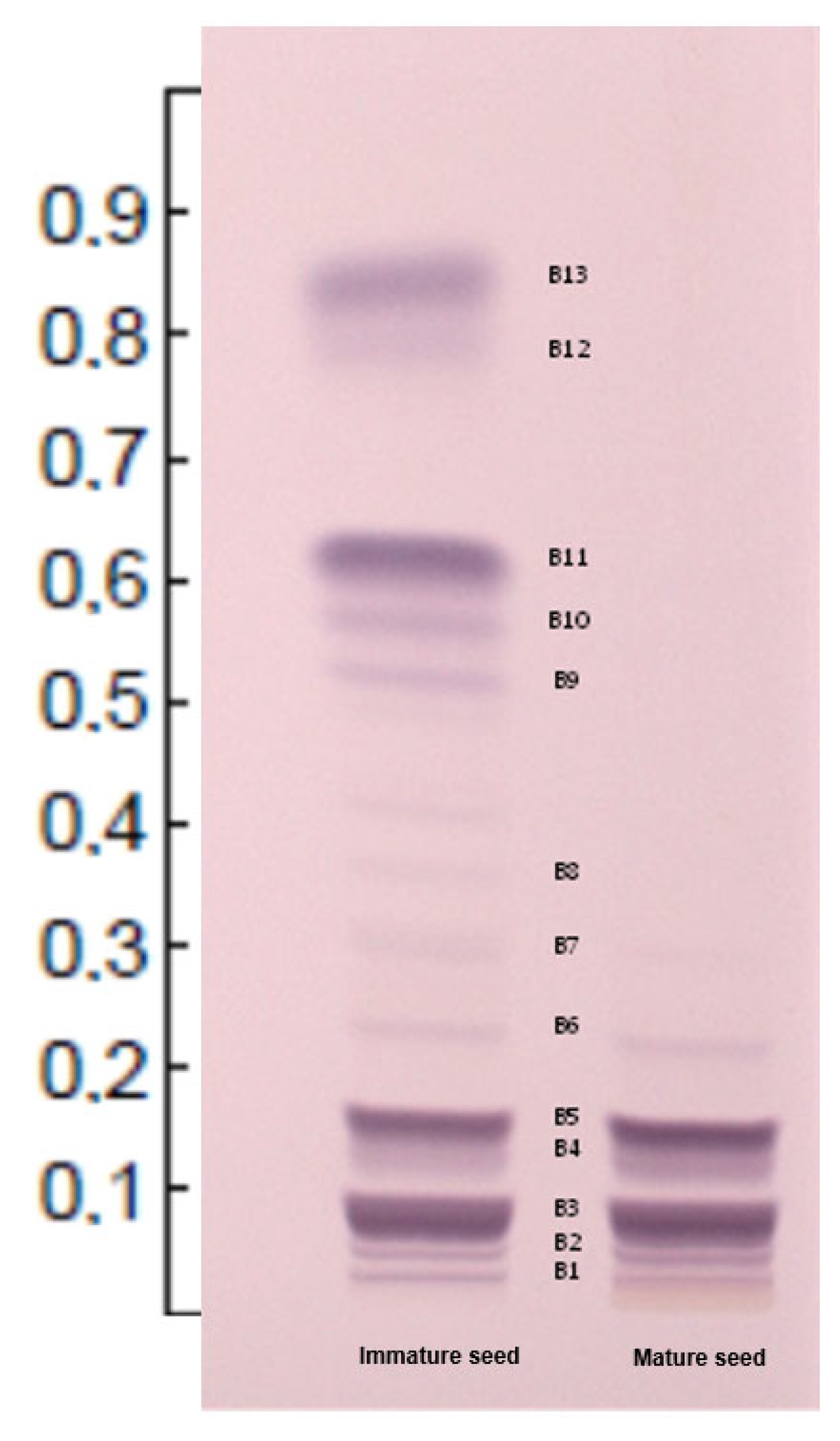 Molecules 29 04083 g002