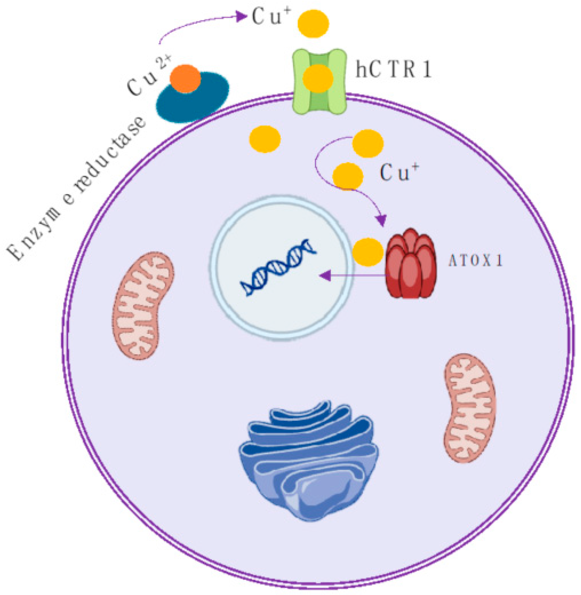 Molecules 29 04085 g001