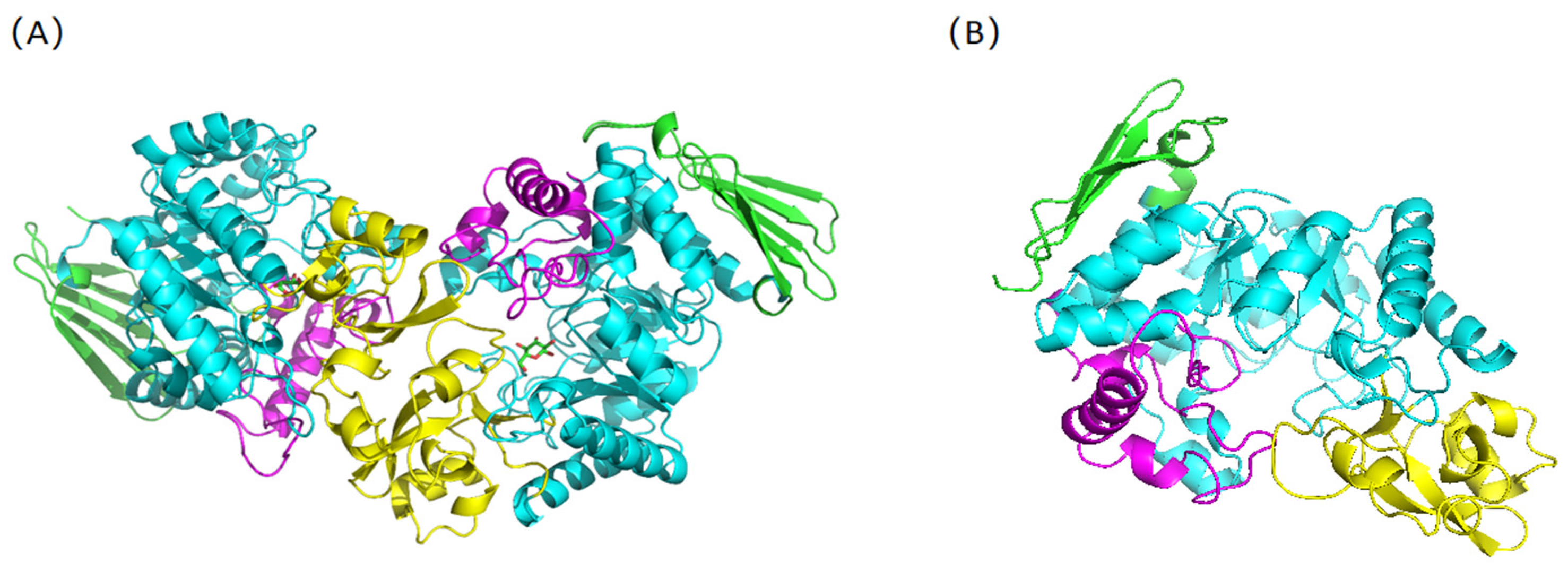 Molecules 29 04086 g001 Molecules 29 04086 g001