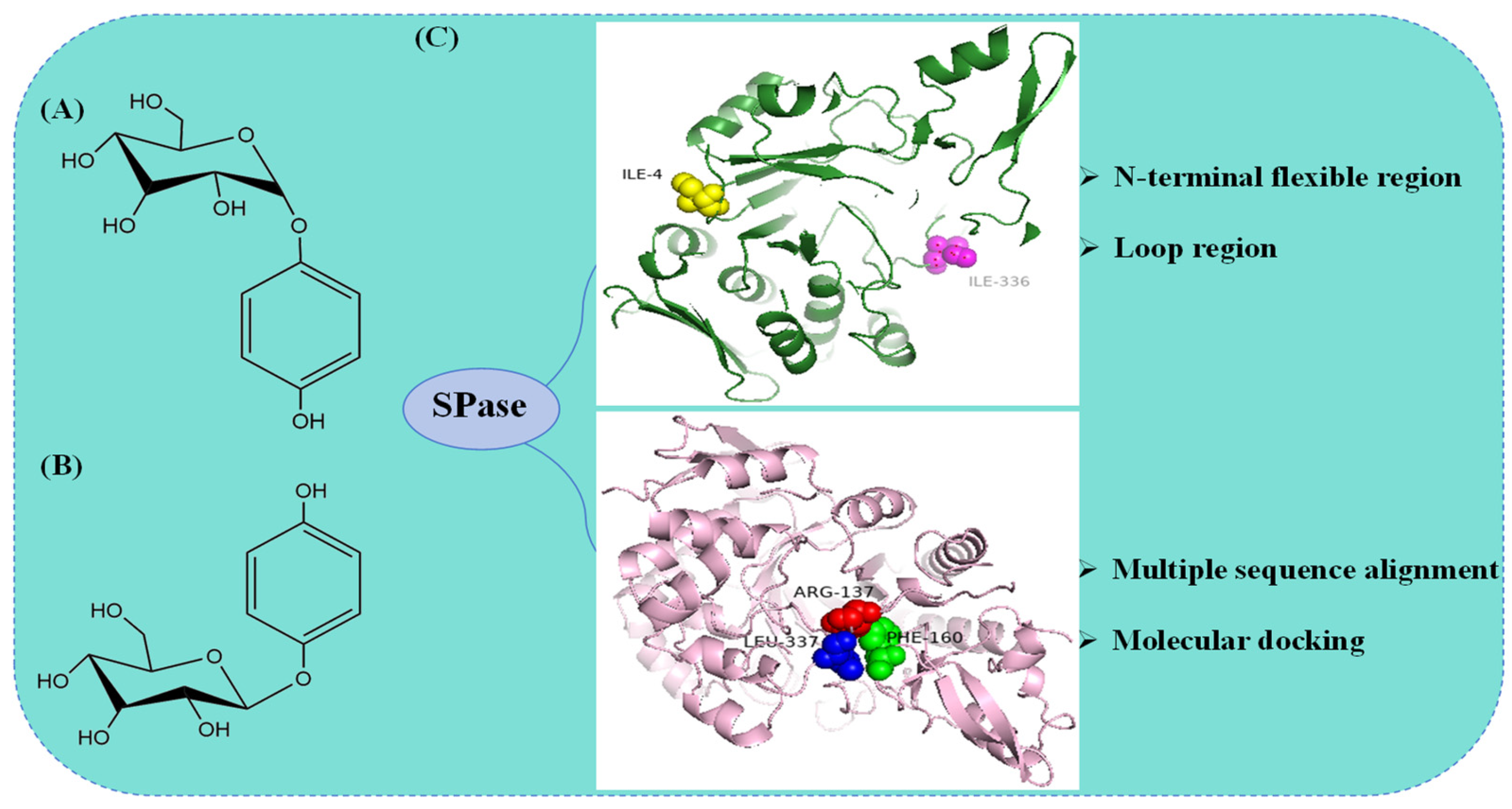 Molecules 29 04086 g004 Molecules 29 04086 g004