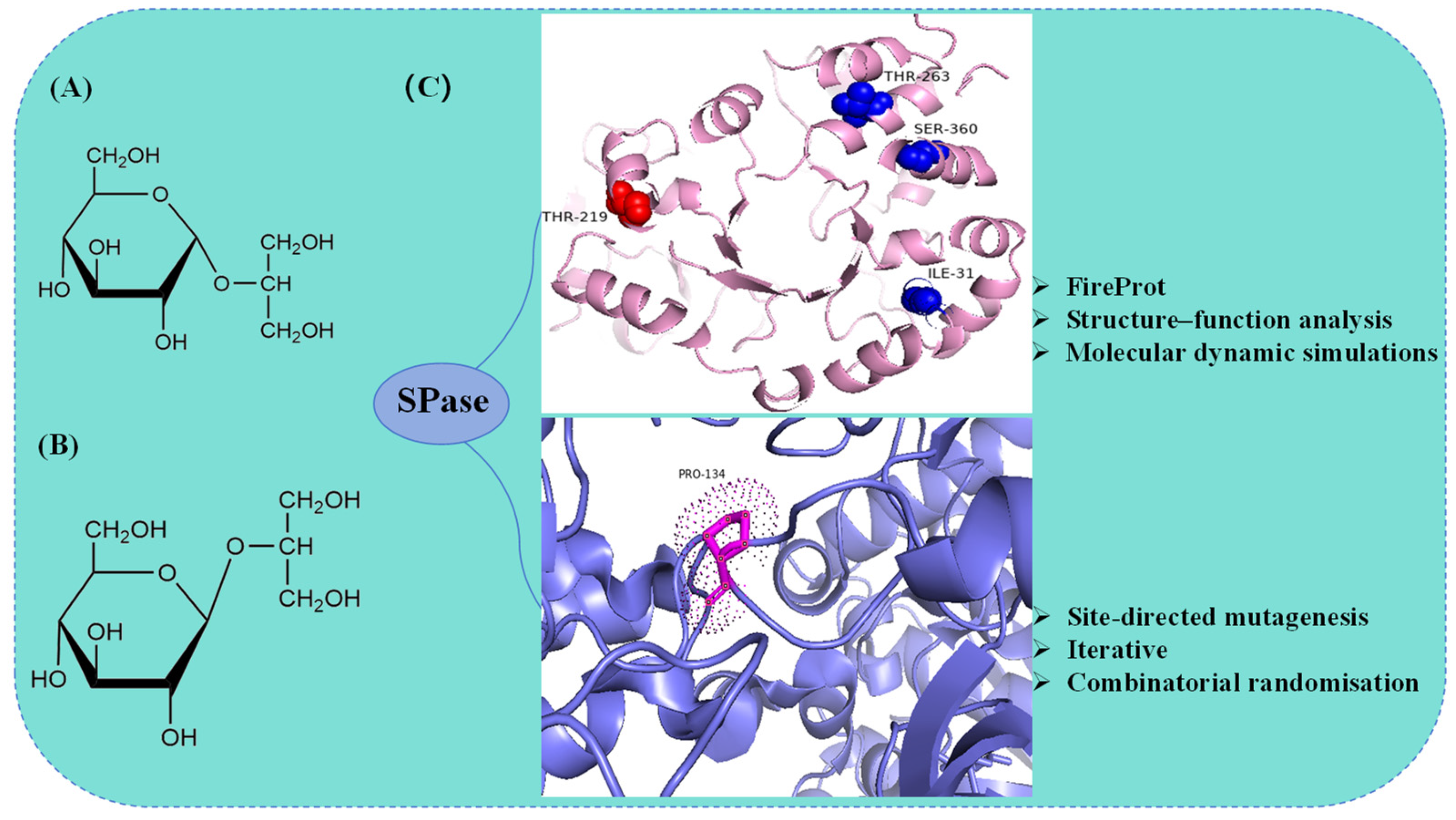 Molecules 29 04086 g005 Molecules 29 04086 g005