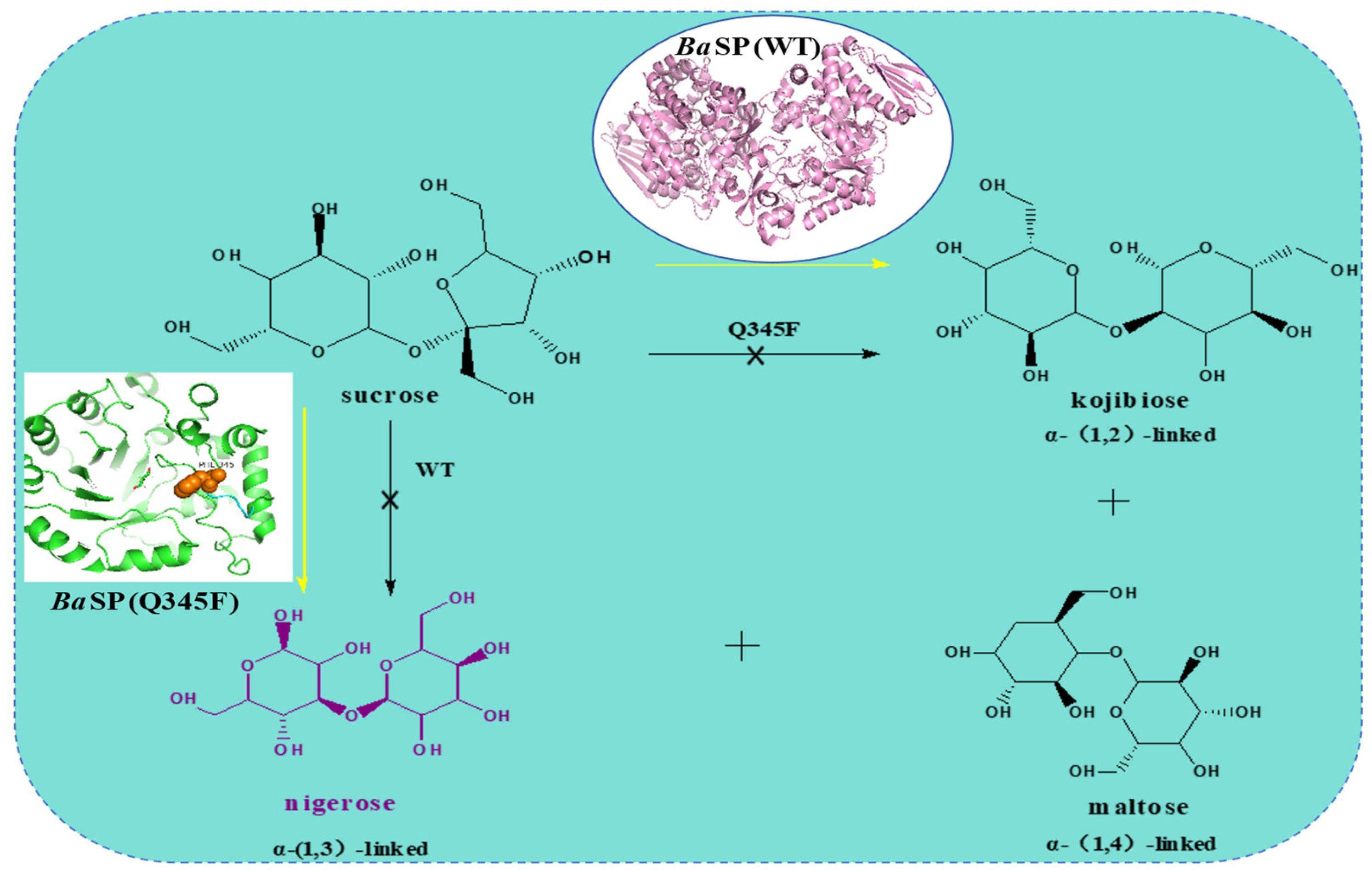 Molecules 29 04086 g008 Molecules 29 04086 g008