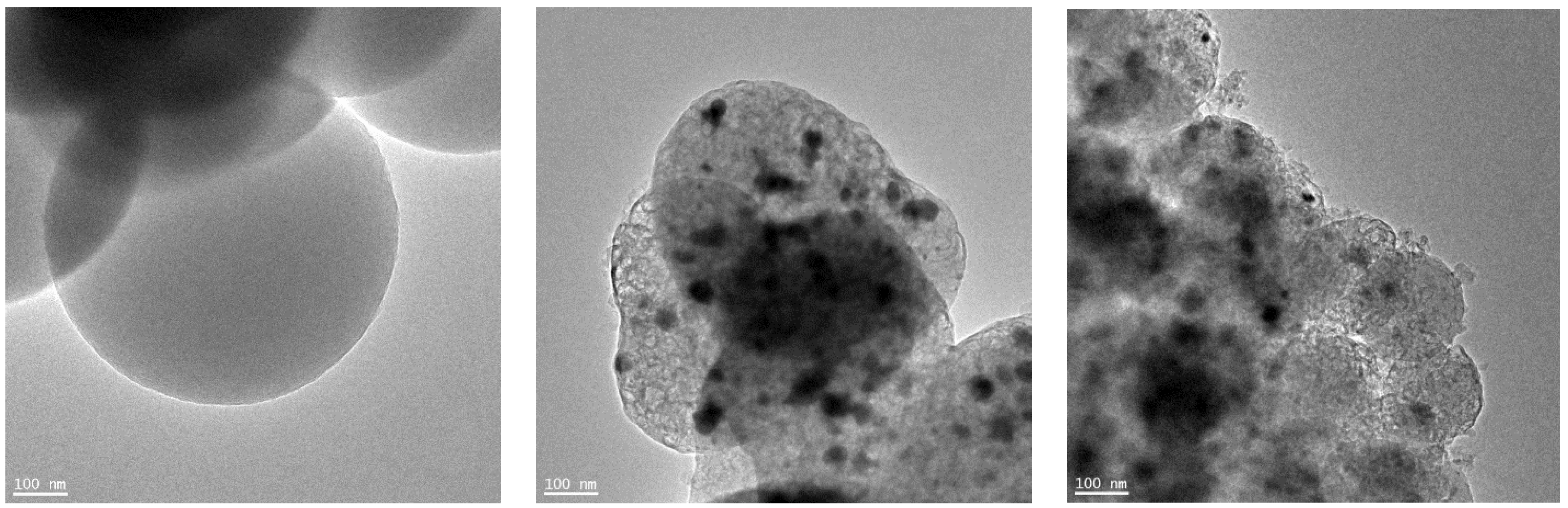 Molecules 29 04090 g002a Molecules 29 04090 g002a