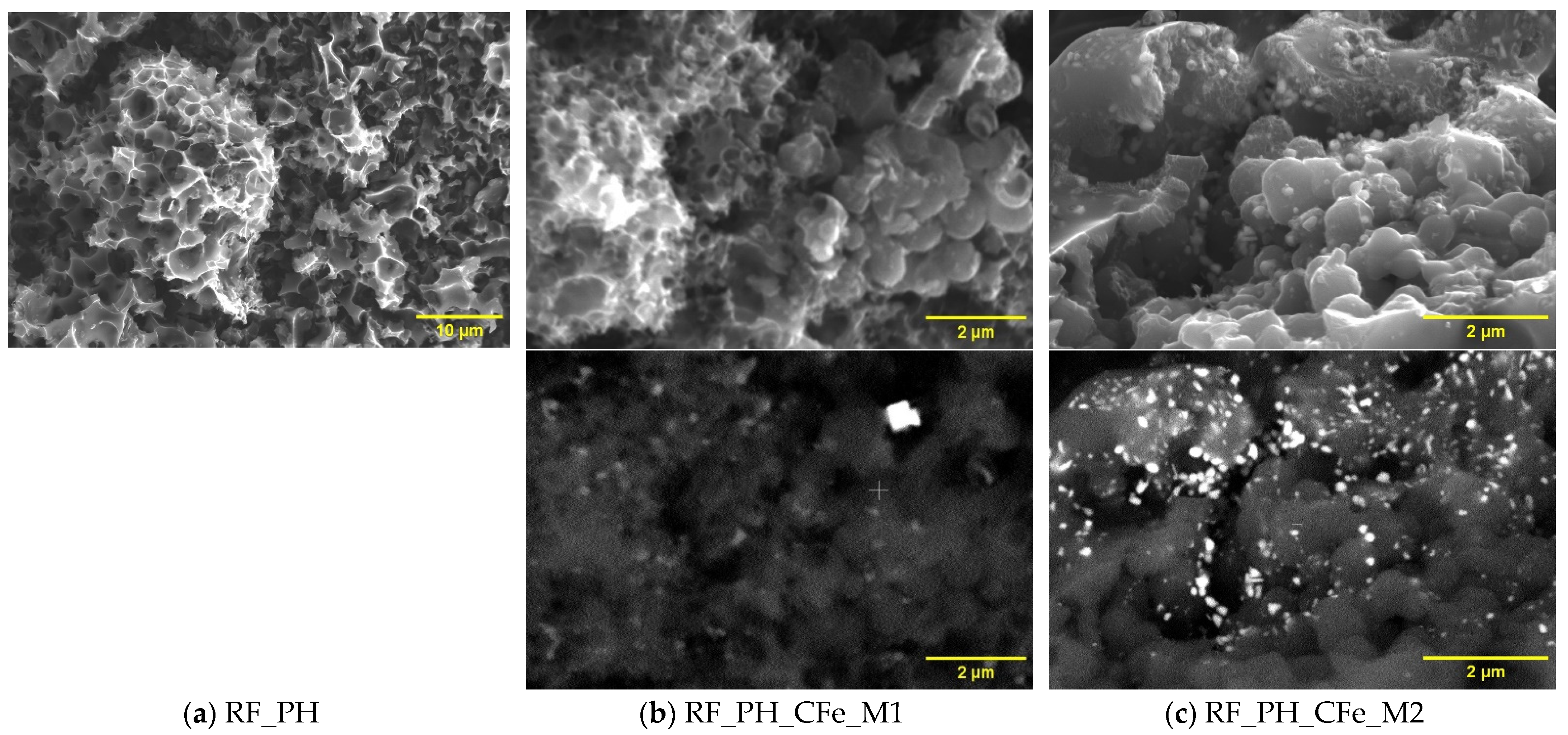 Molecules 29 04090 g005 Molecules 29 04090 g005