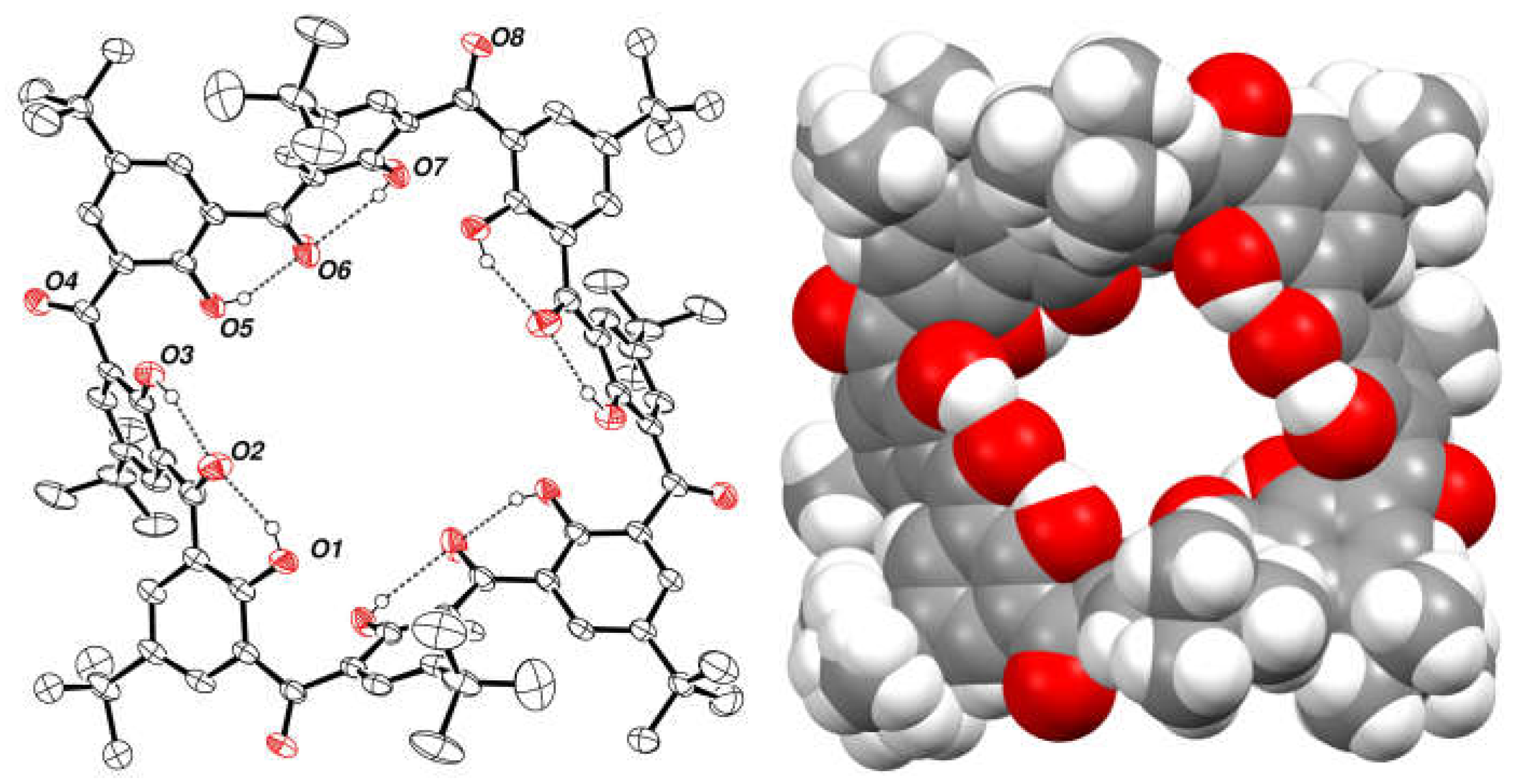 Molecules 29 04094 g006