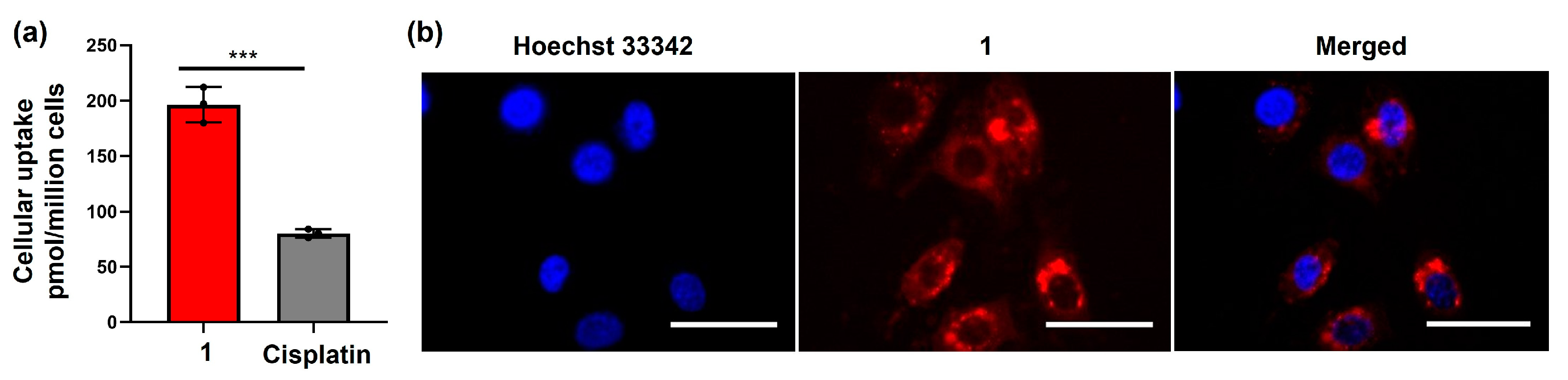 Molecules 29 04095 g002 Molecules 29 04095 g002