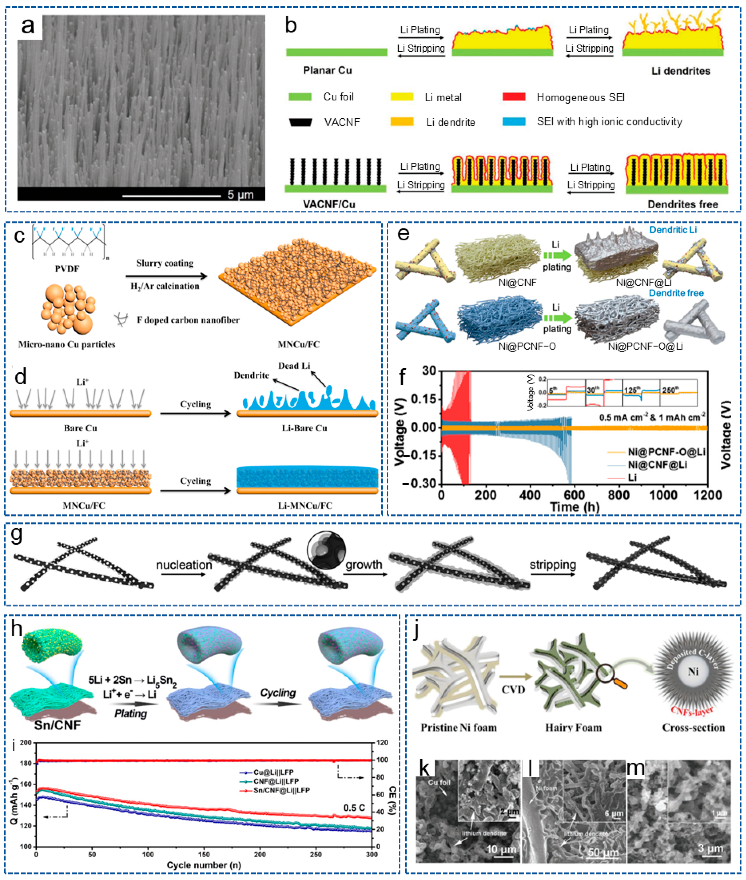 Molecules 29 04096 g003