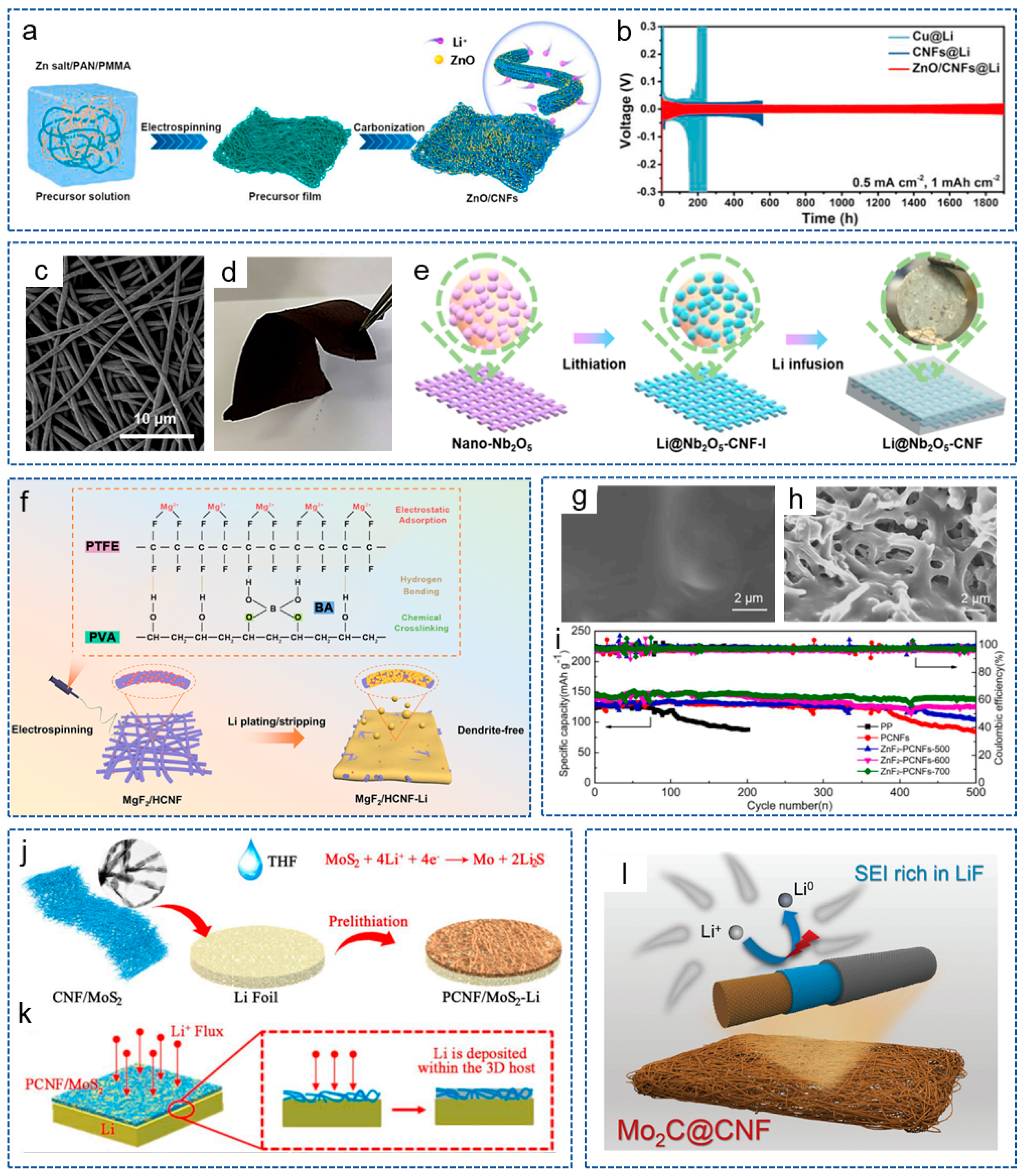 Molecules 29 04096 g004