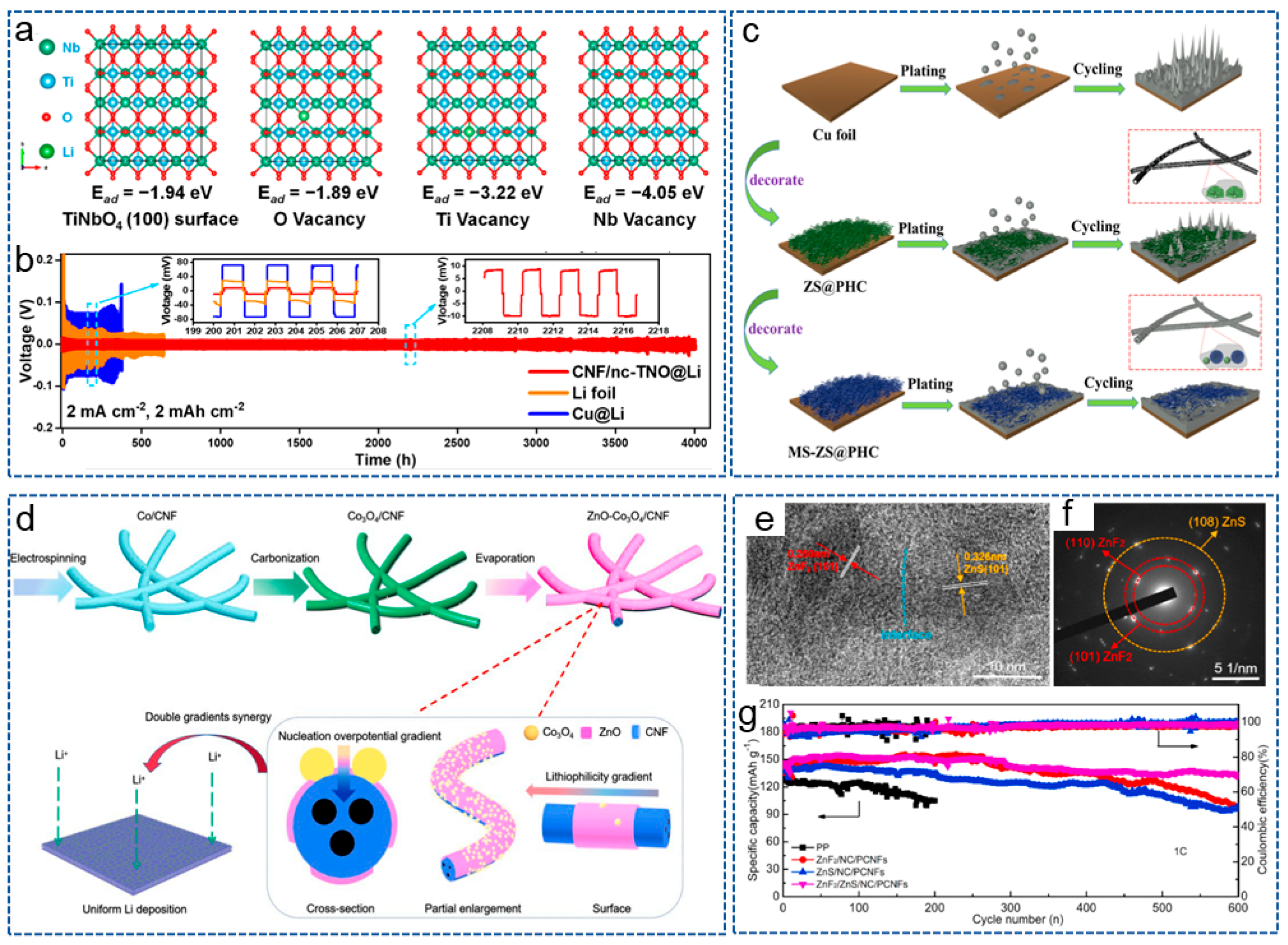 Molecules 29 04096 g005