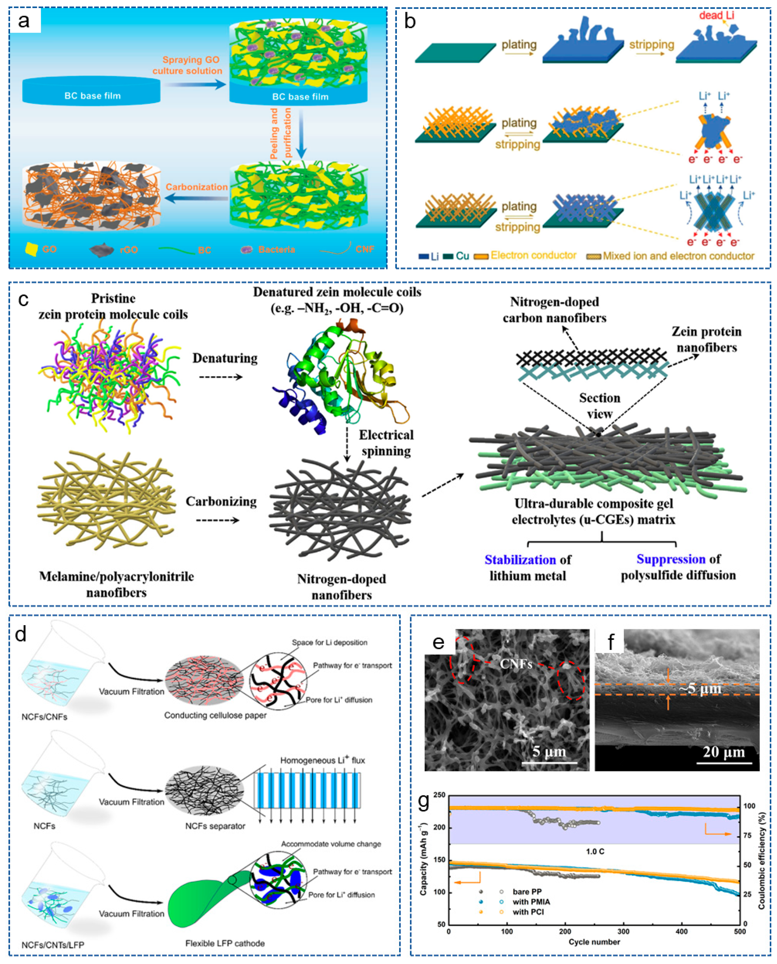 Molecules 29 04096 g006