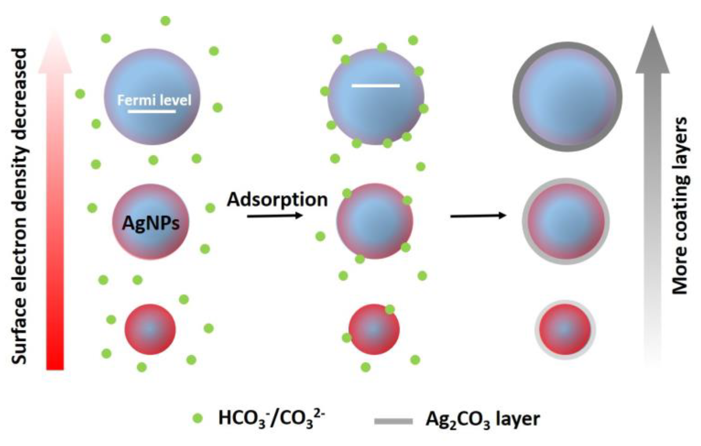 Molecules 29 04099 g009