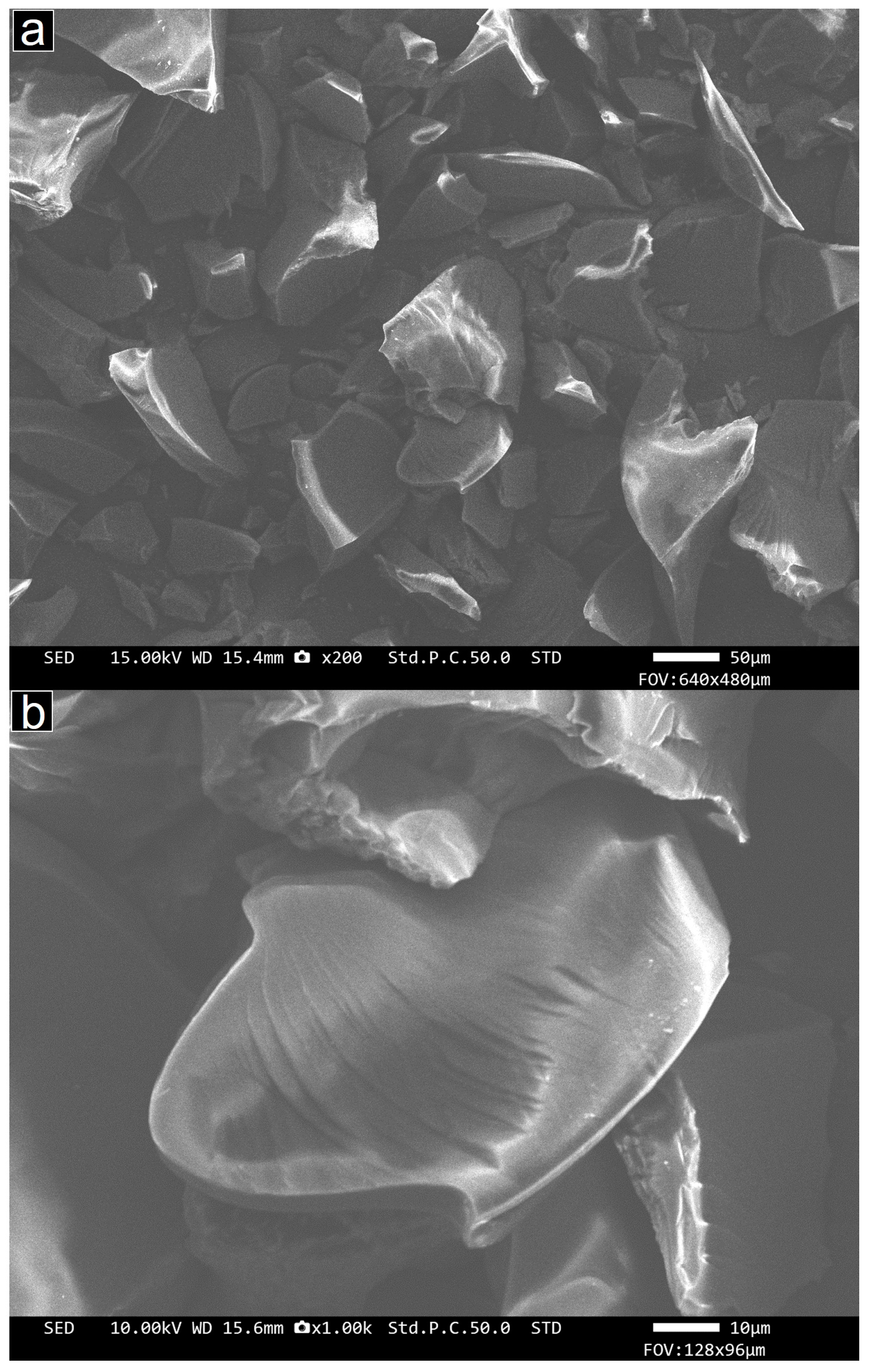 Molecules 29 04100 g003