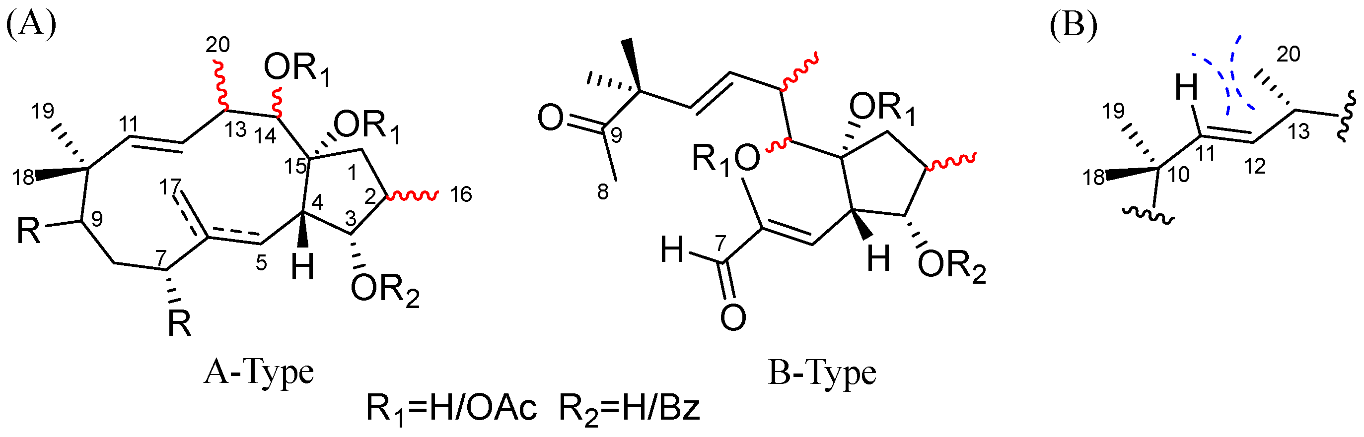 Molecules 29 04104 g004