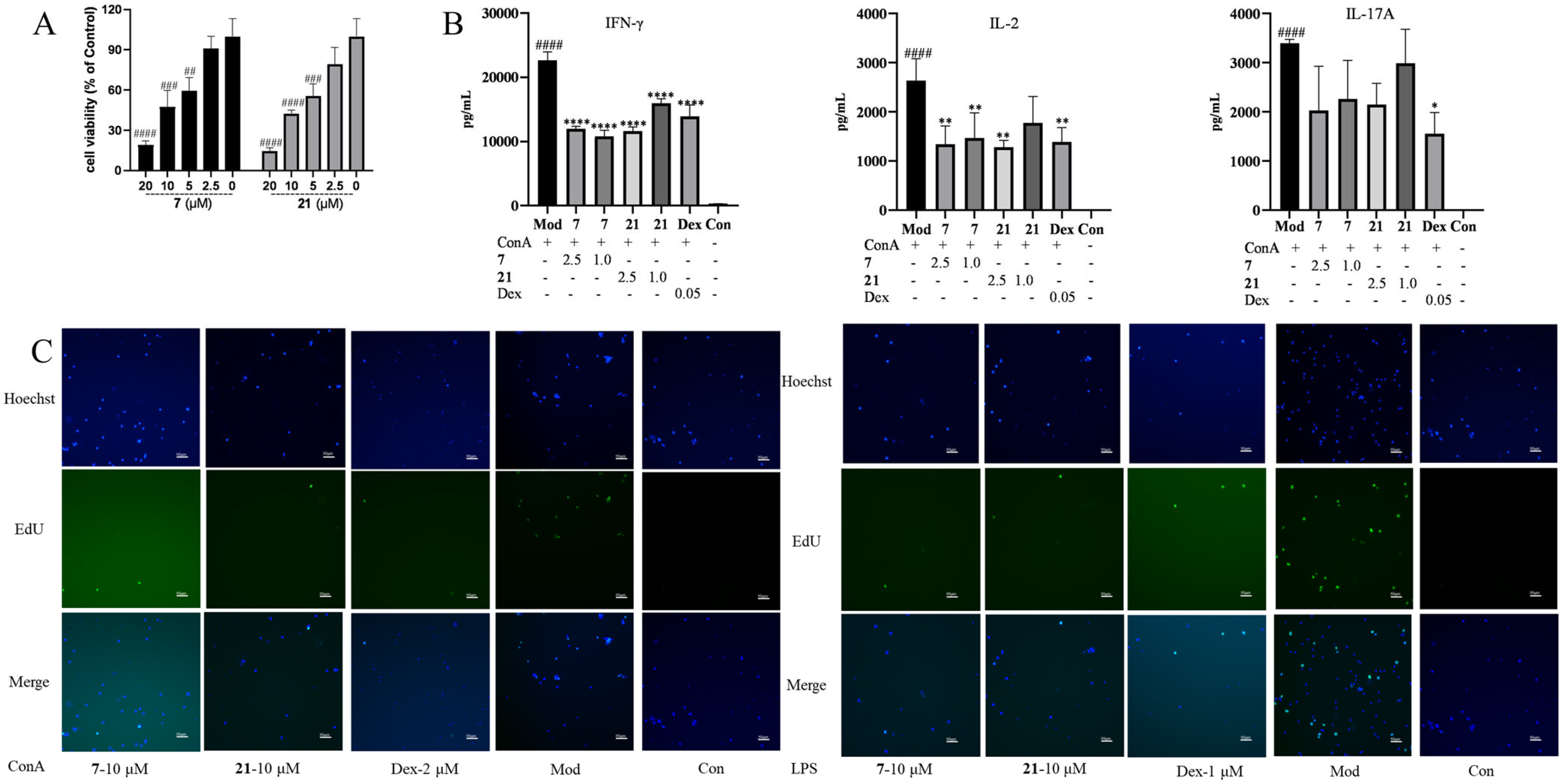 Molecules 29 04104 g005