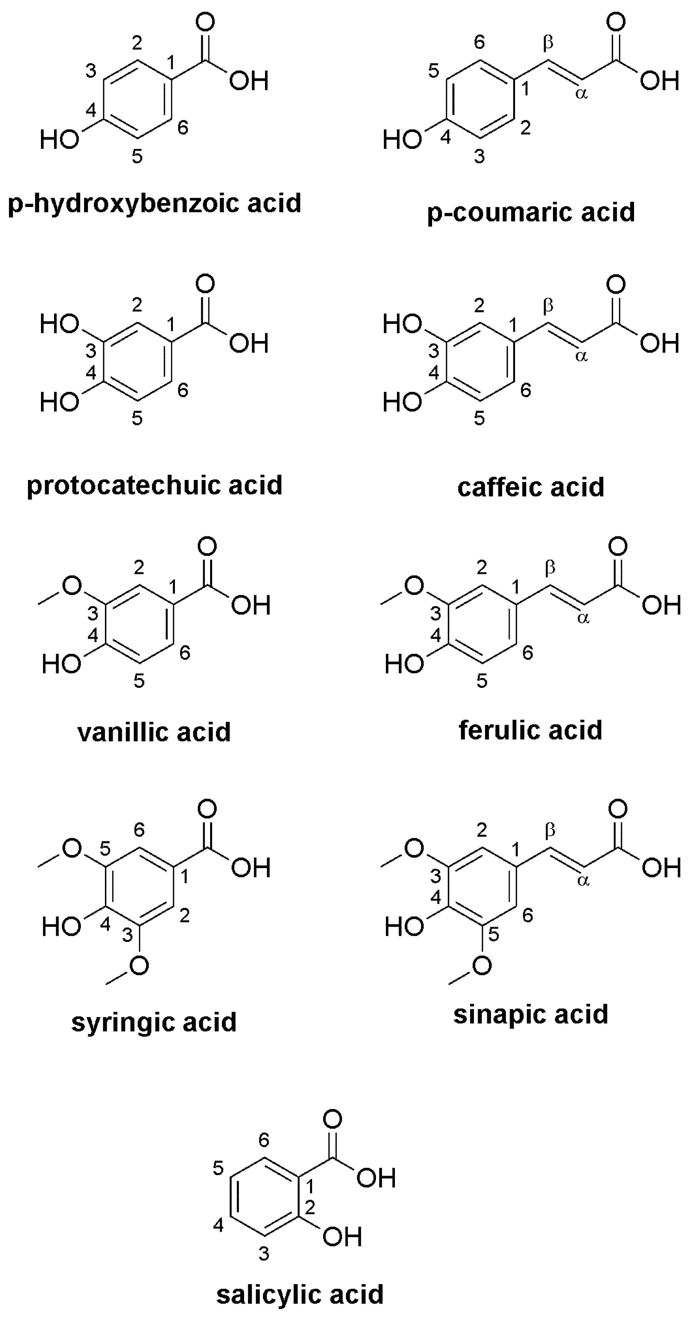 Molecules 29 04106 g003 Molecules 29 04106 g003