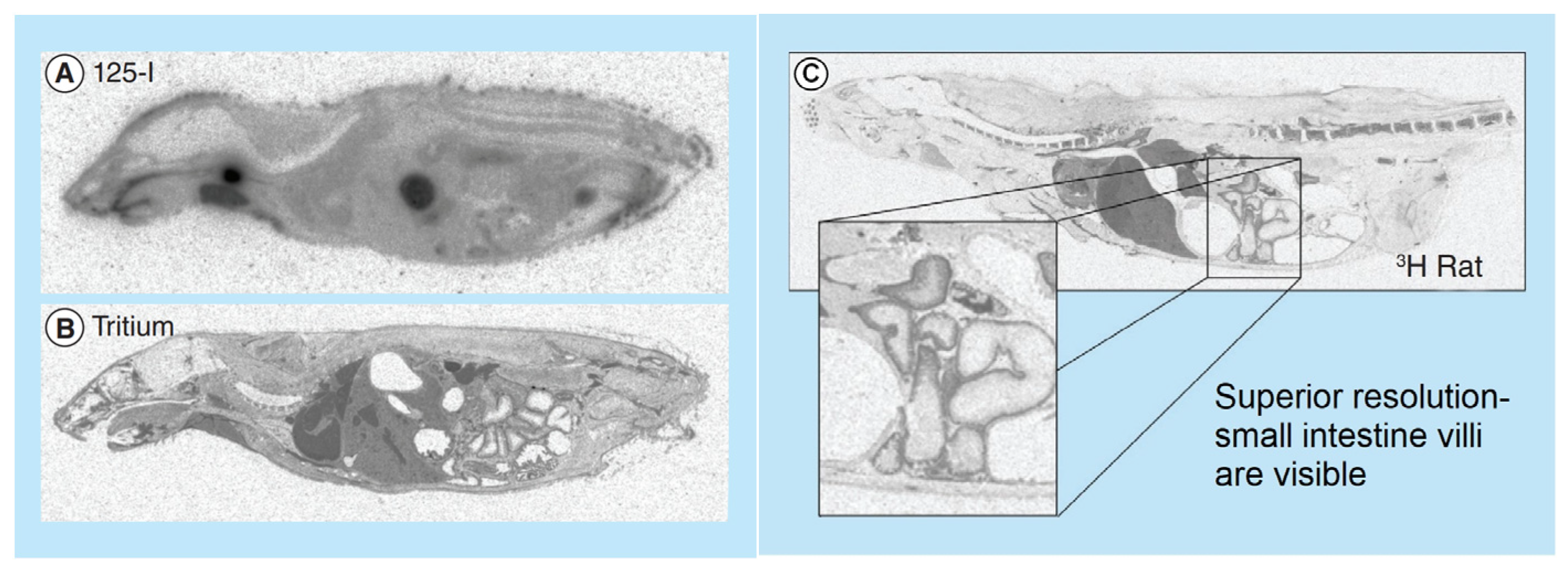 Molecules 29 04109 g001 Molecules 29 04109 g001