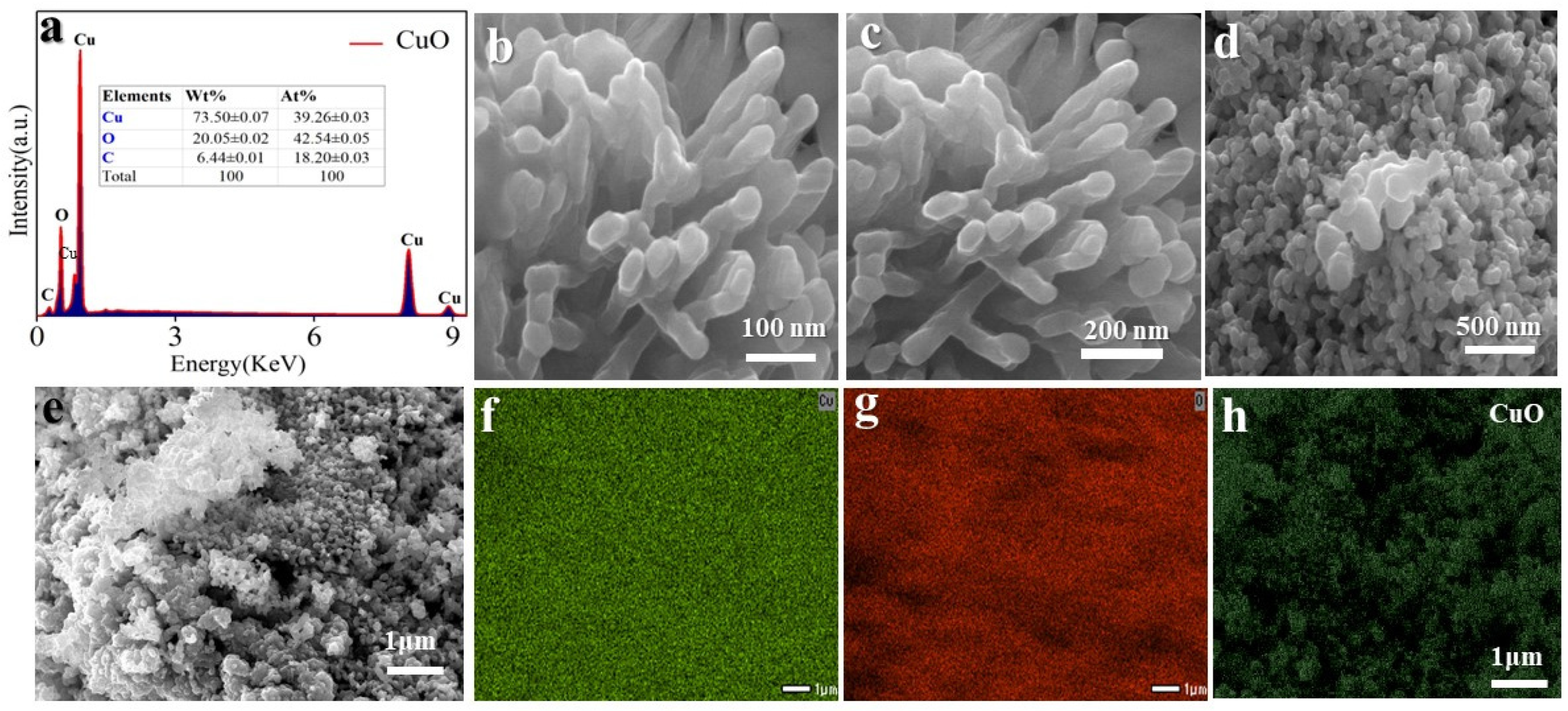 Molecules 29 04114 g003