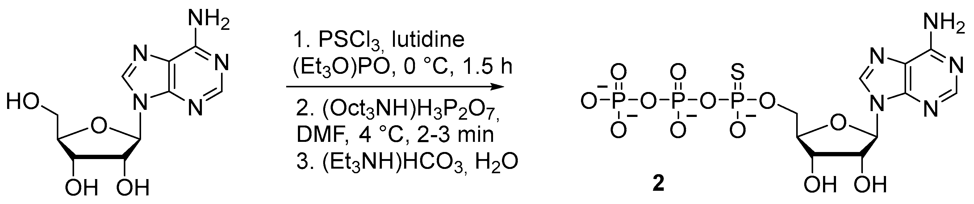 Molecules 29 04121 sch004