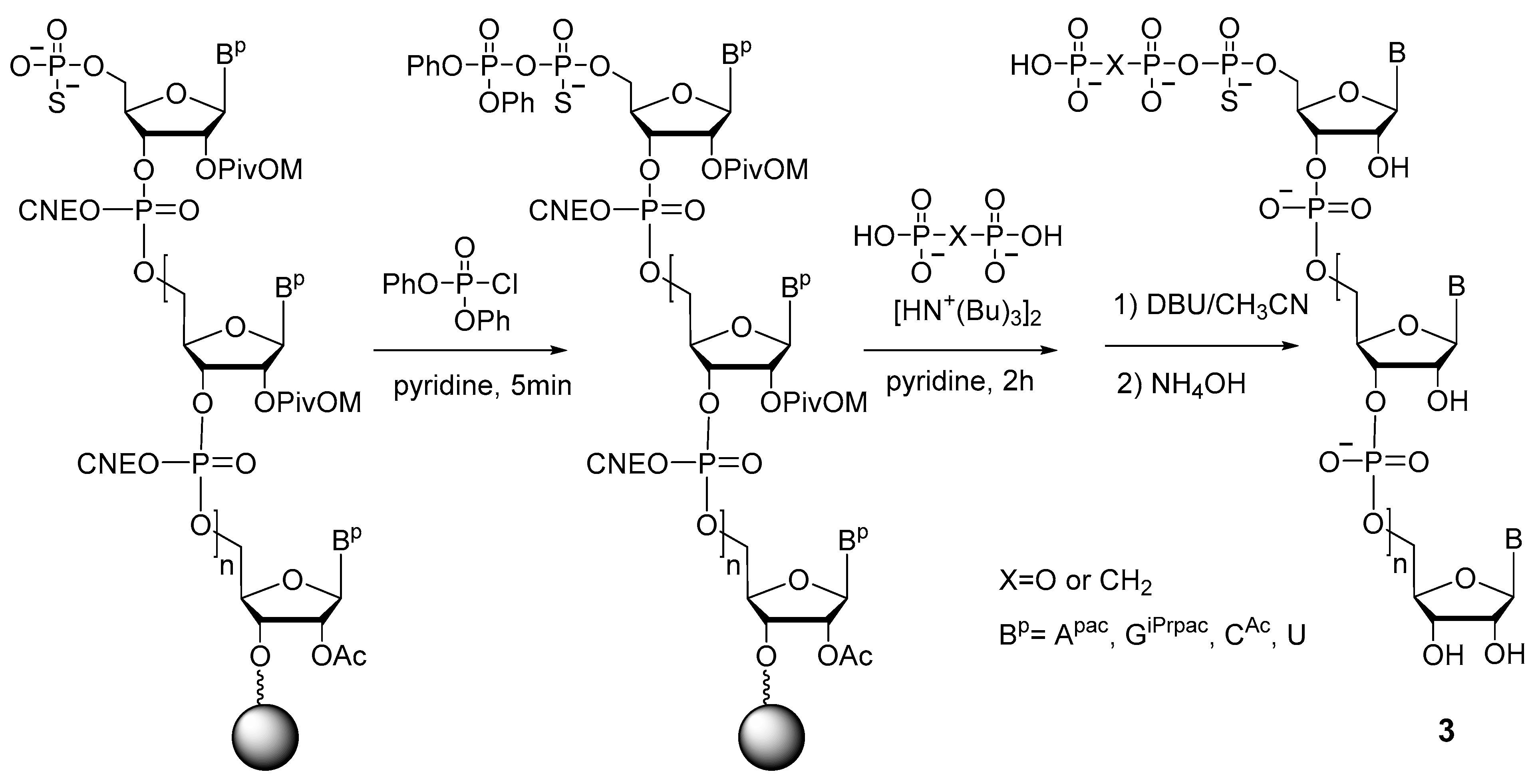 Molecules 29 04121 sch005