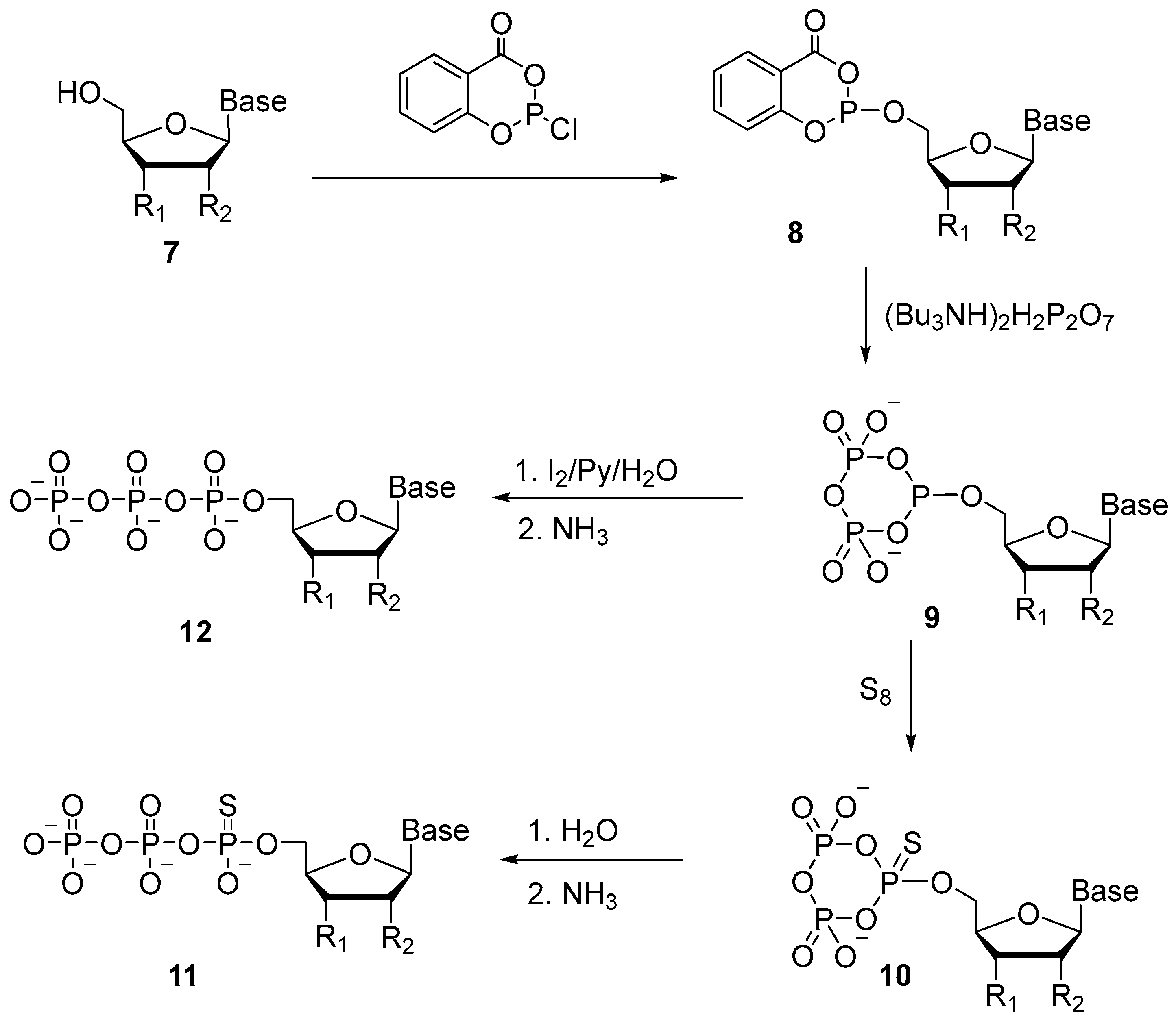 Molecules 29 04121 sch007