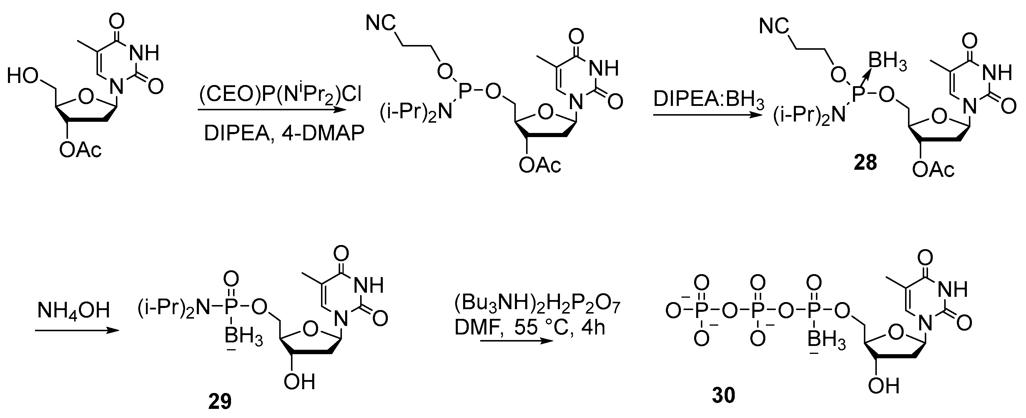 Molecules 29 04121 sch012