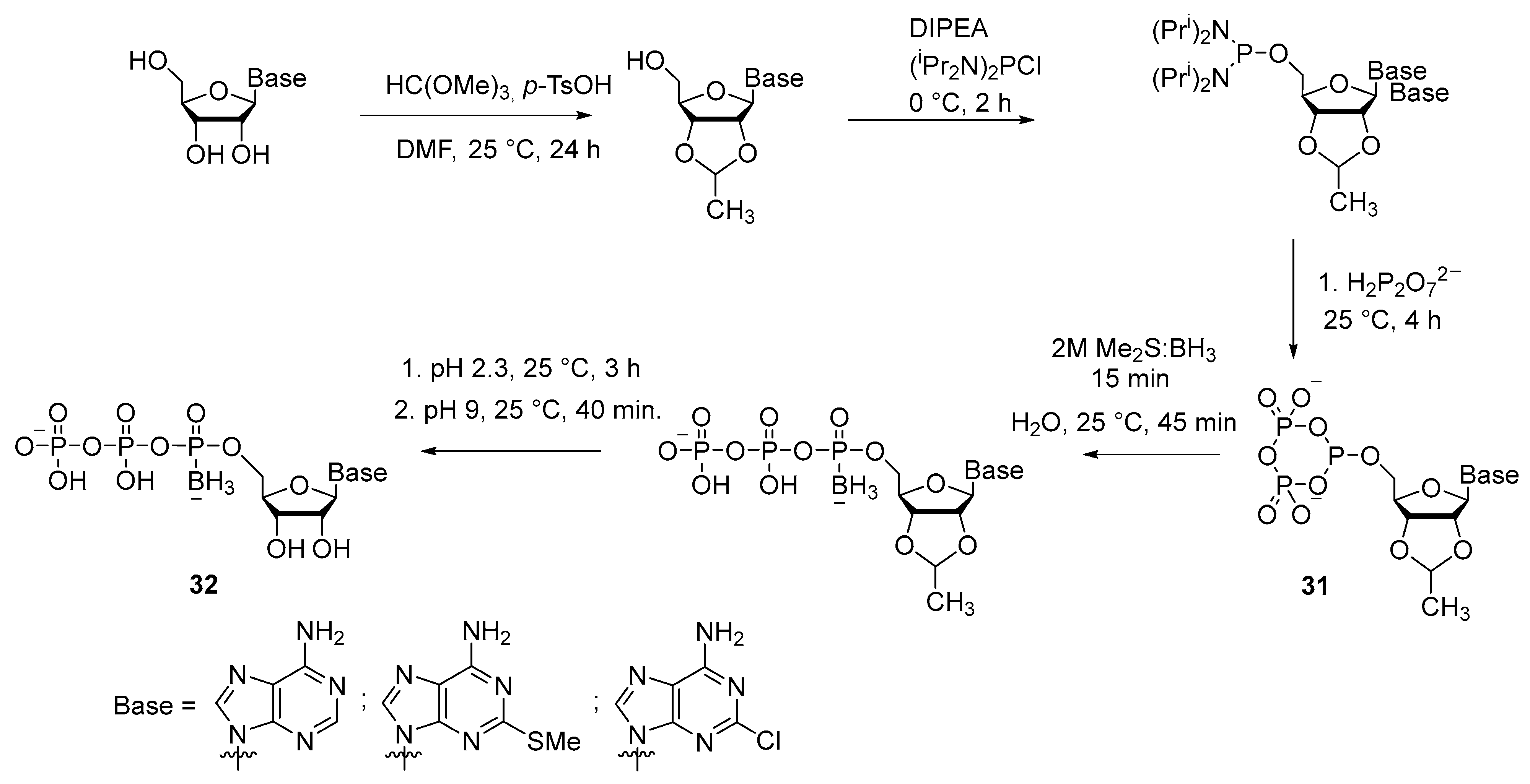 Molecules 29 04121 sch013