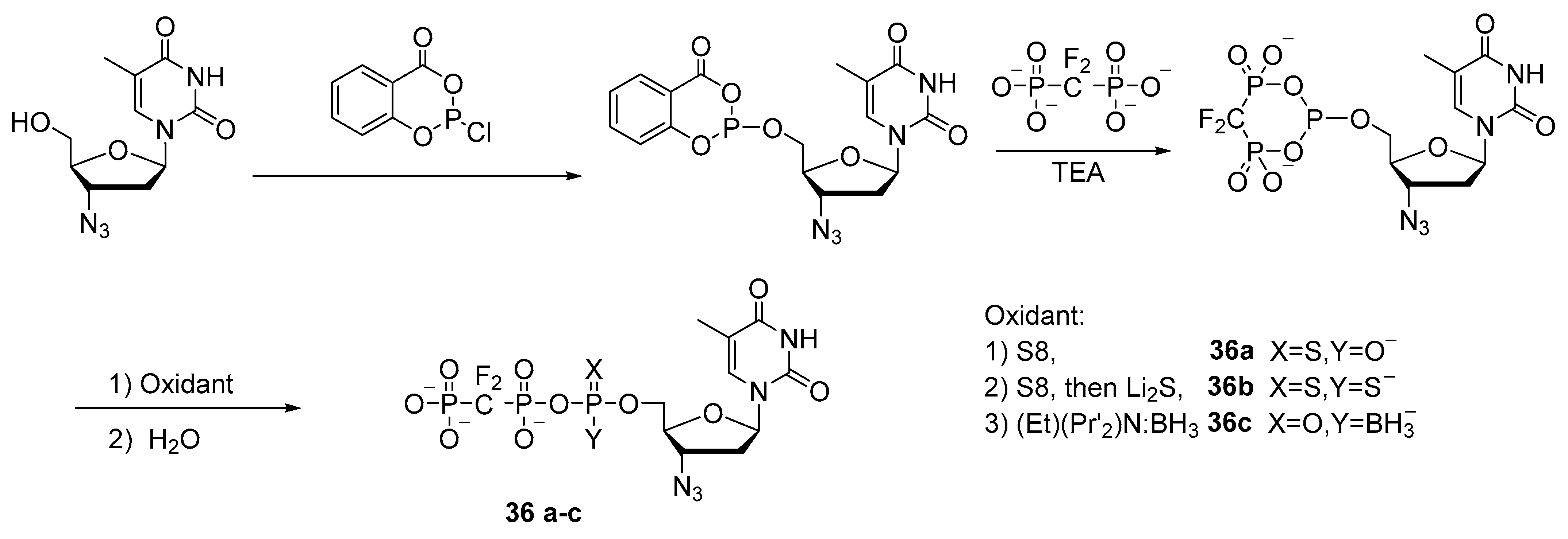 Molecules 29 04121 sch016