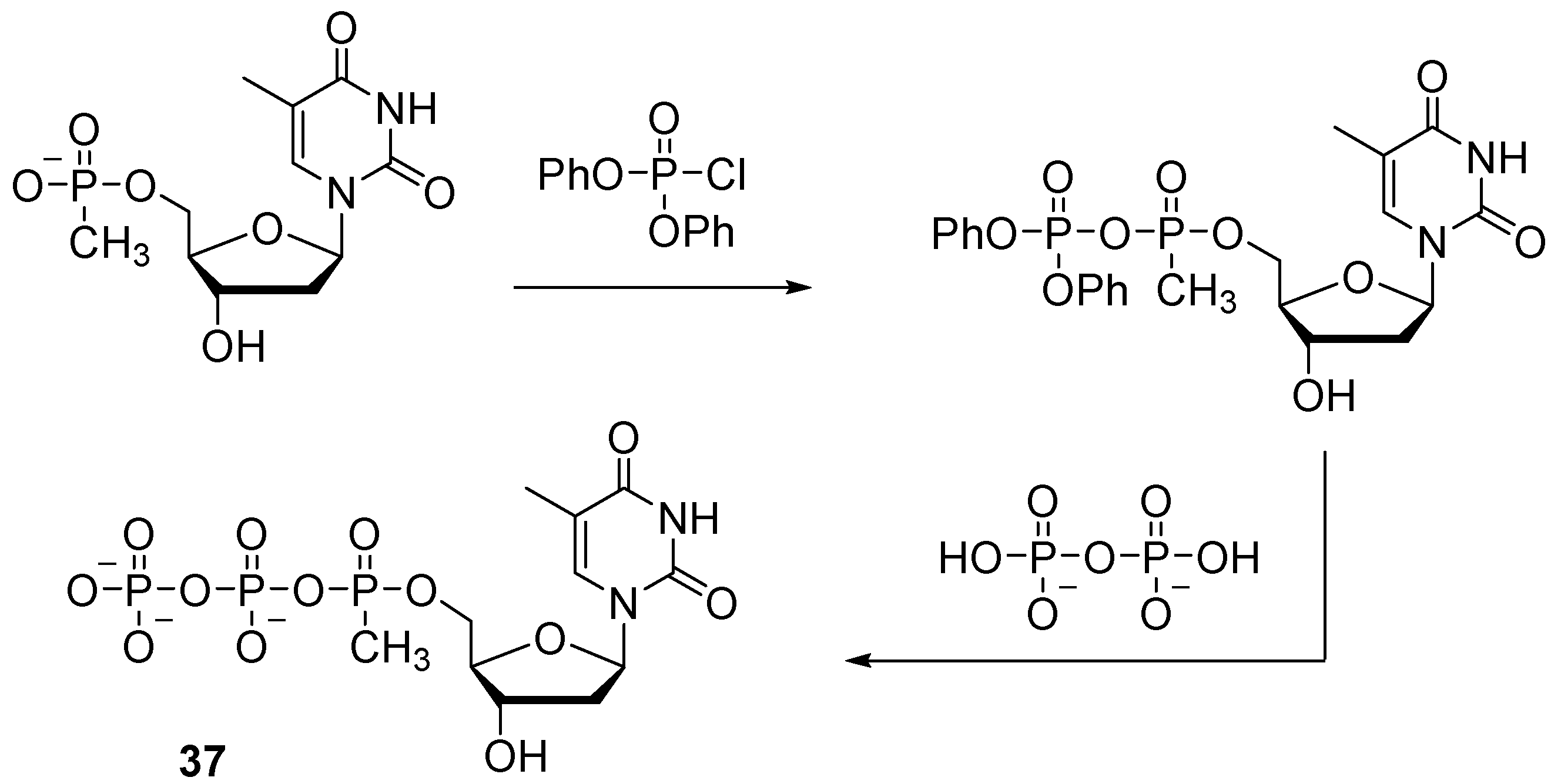 Molecules 29 04121 sch017