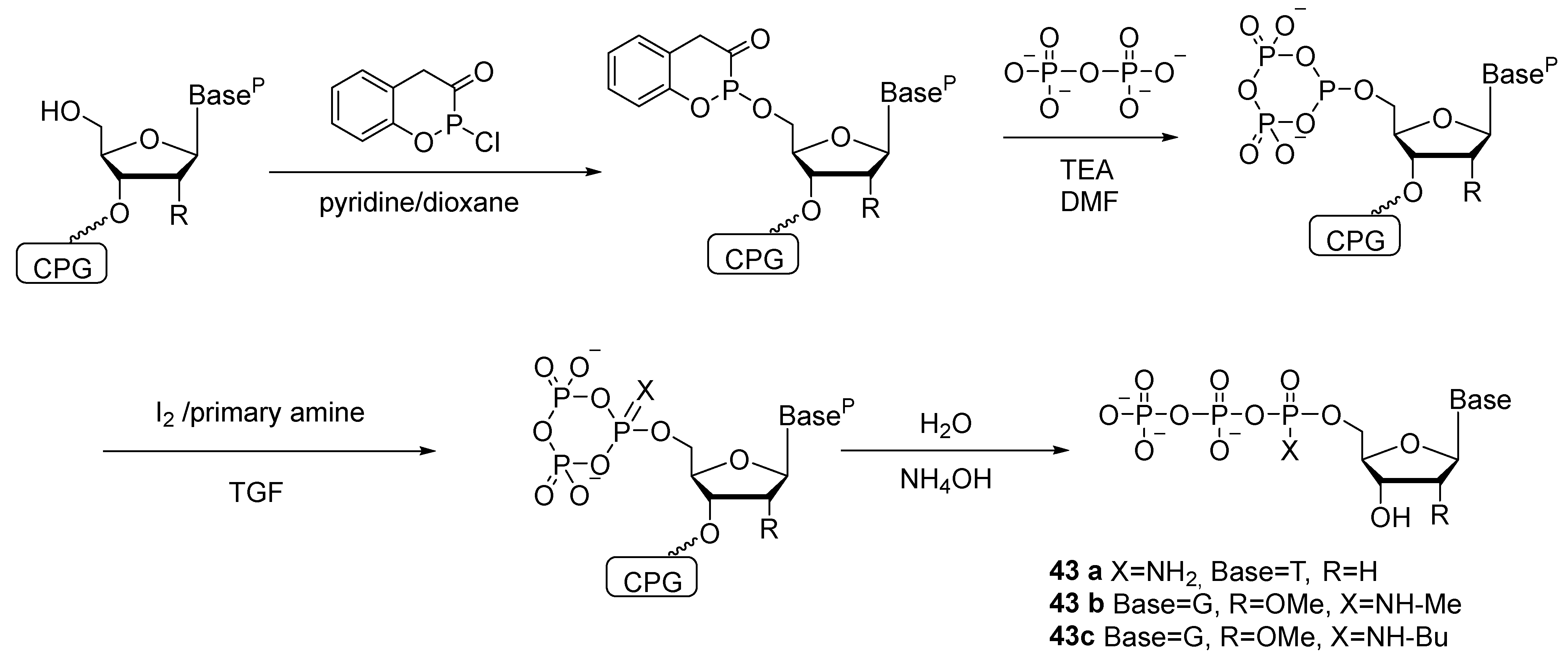Molecules 29 04121 sch021