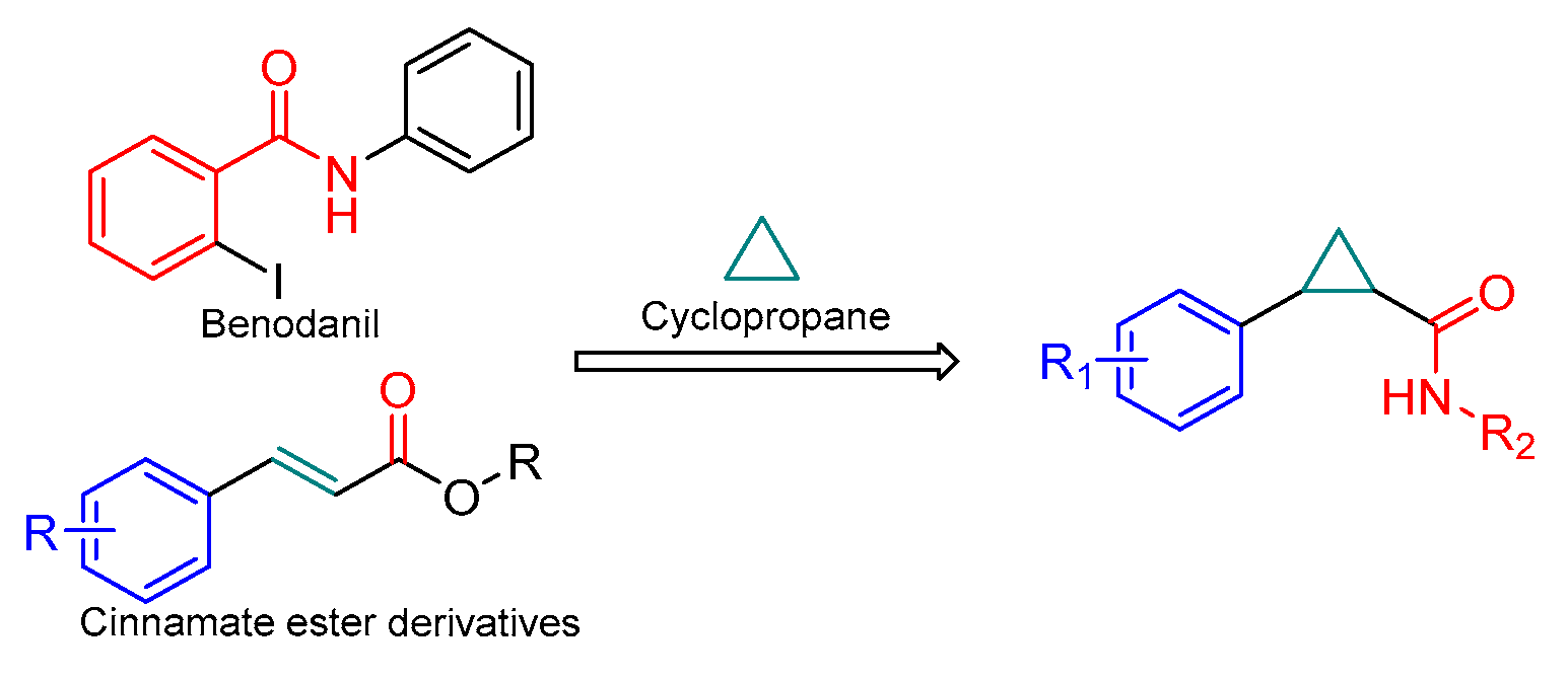 Molecules 29 04124 g002