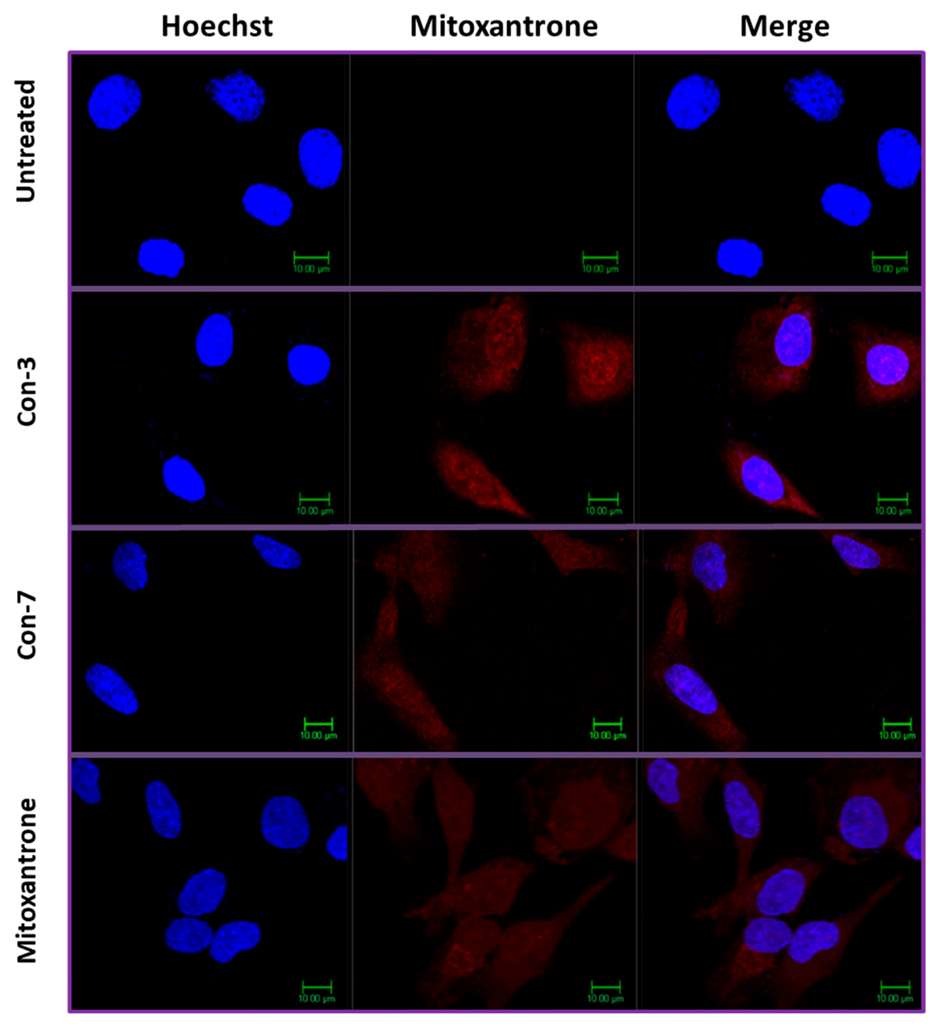 Molecules 29 04127 g009