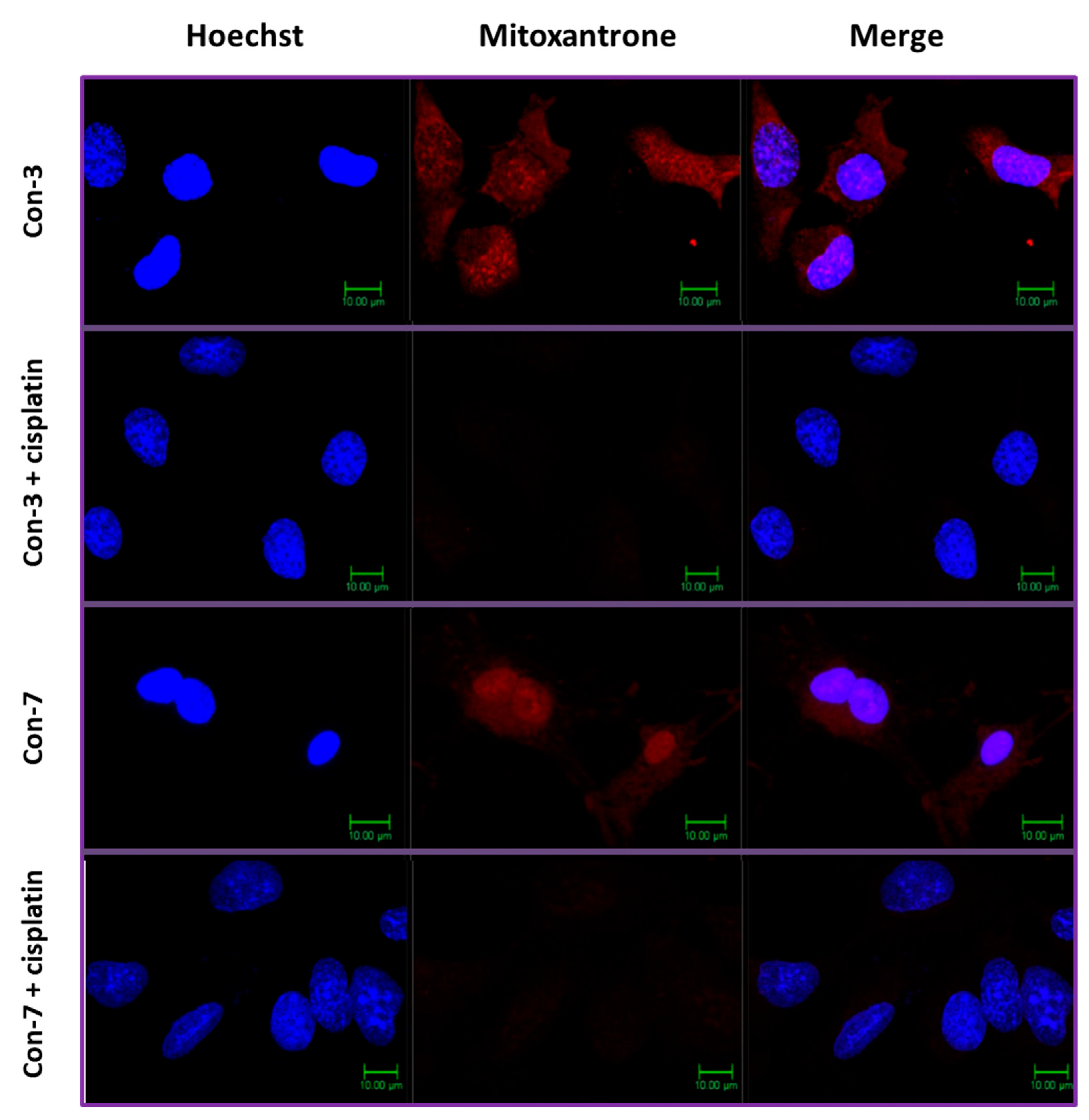Molecules 29 04127 g010